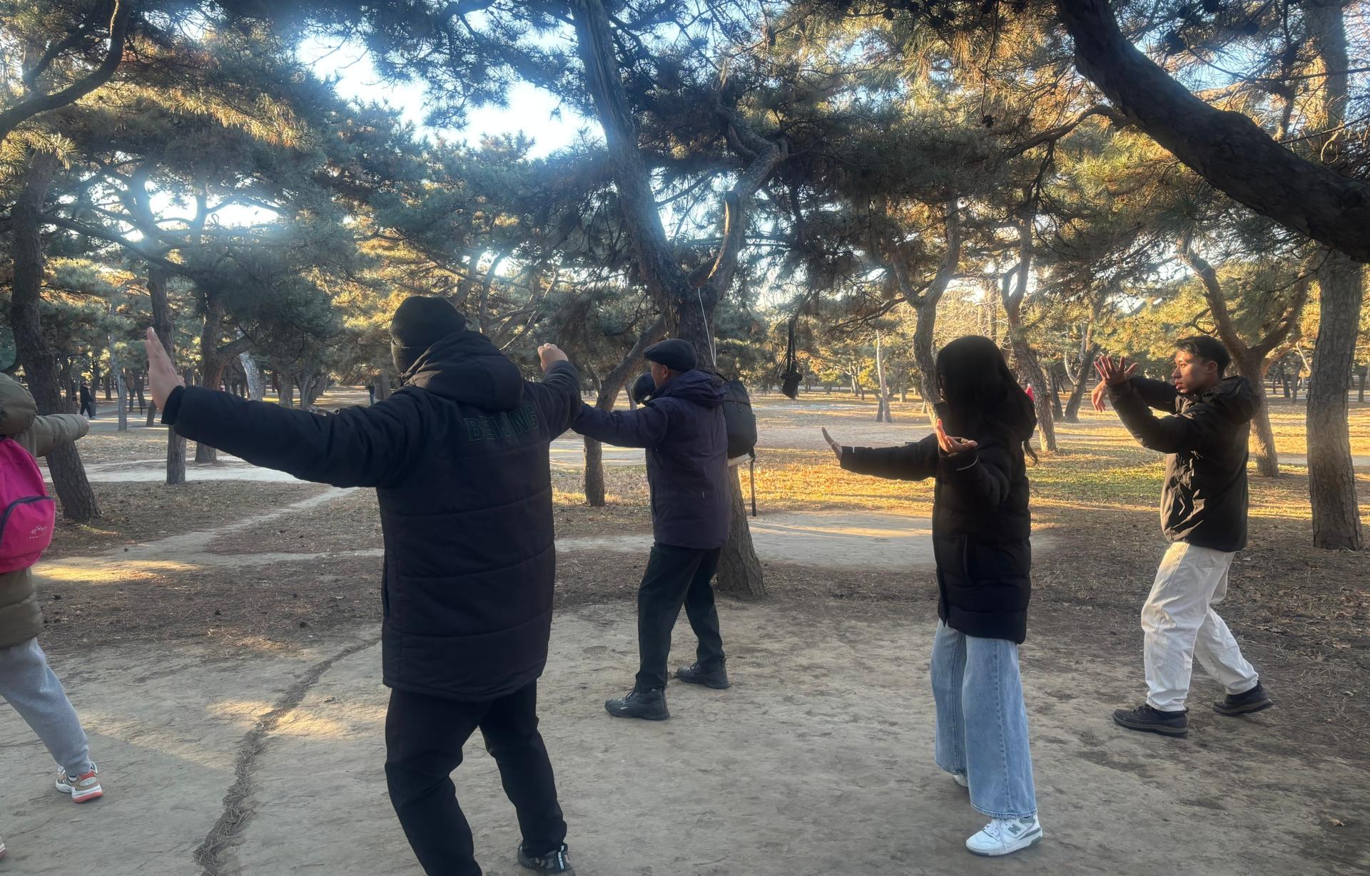 Beijing Temple of Heaven Half-Day Tai Chi Experience - Thumbnail 11
