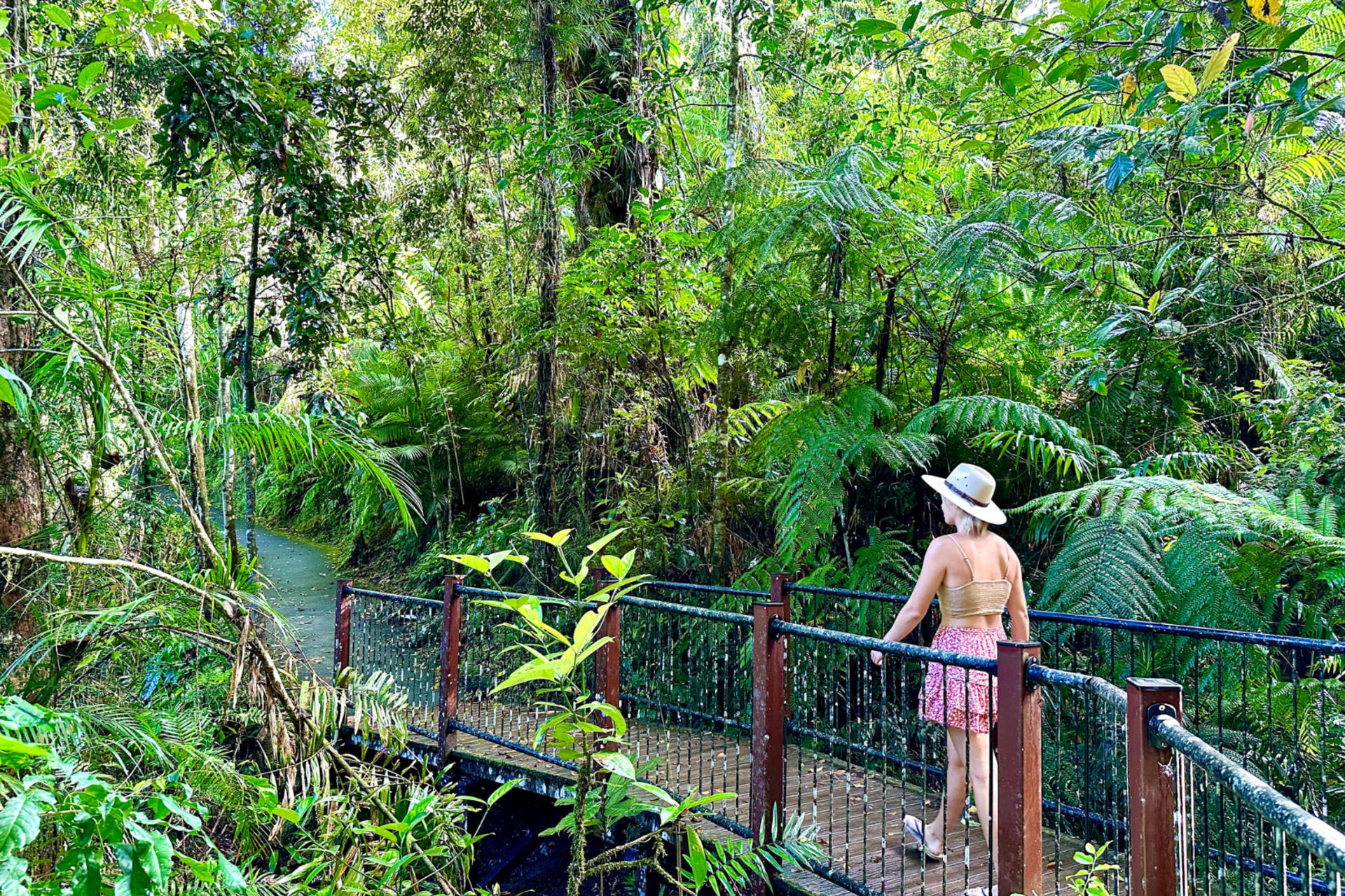 Waterfalls Day Tour-Millaa Millaa Falls&Josephine Falls from Cairns - Thumbnail 4