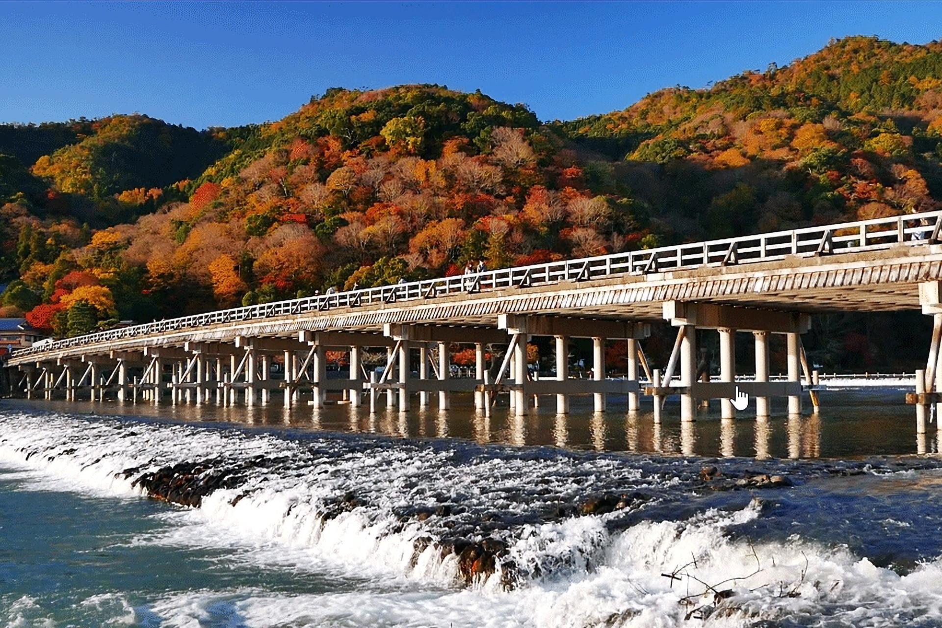 Kyoto City, Western Kyoto & Arashiyama:In-Depth 1-Day Cultural Tour - Thumbnail 16
