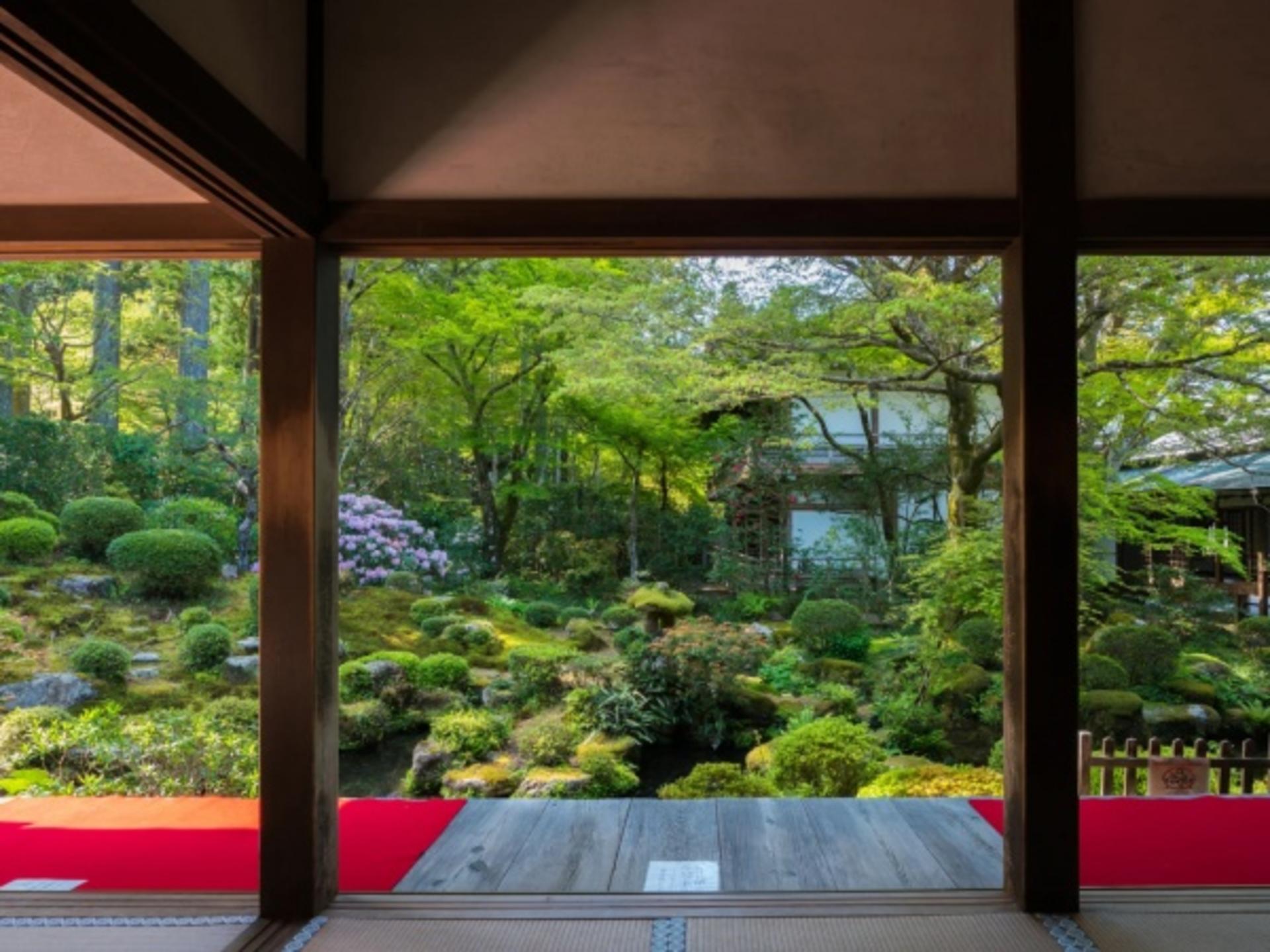 One-day trip to Kyoto's Kifune Shrine, Arashiyama, and Sanzen-in Temple - Thumbnail 5