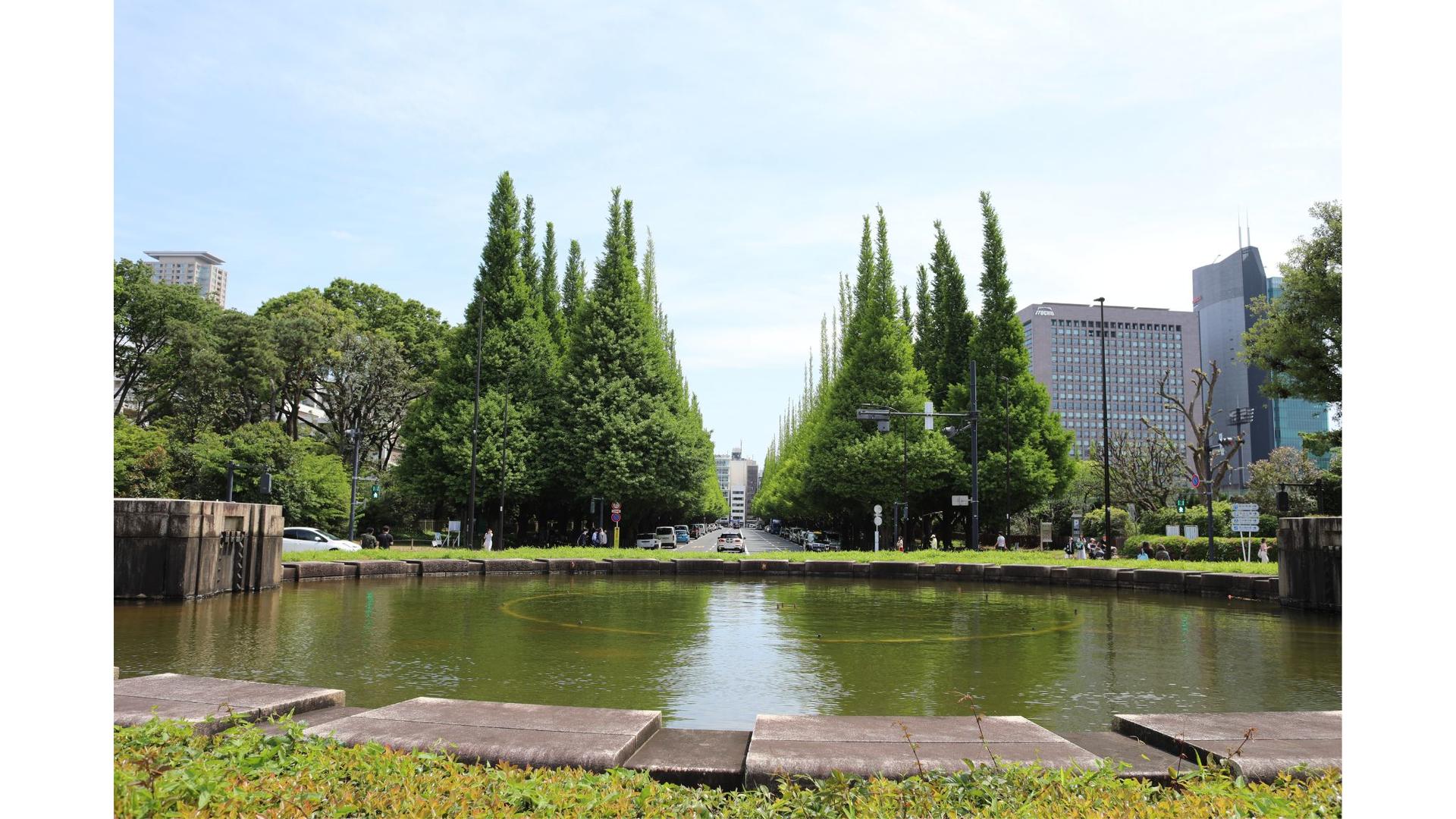 3-Hour E-Bike Experience in Central Tokyo: Palace & Hidden Gems - Thumbnail 8