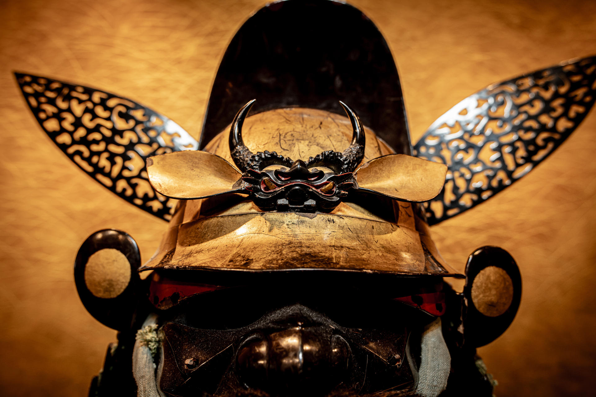 Samurai and Ninja Experience at the Samurai & Ninja Museum in Tokyo - Thumbnail 5