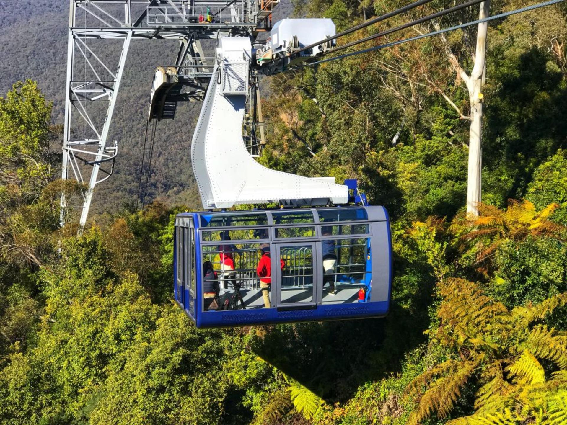 Blue Mountains Zoo, Koala, Leura & Scenic World Mandarin Tour - Thumbnail 11