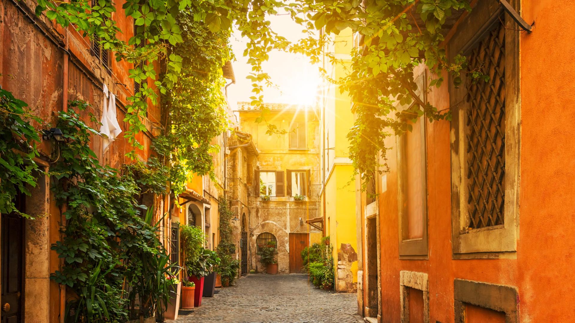 Exclusive wine tasting private tour in Rome  - Thumbnail 6