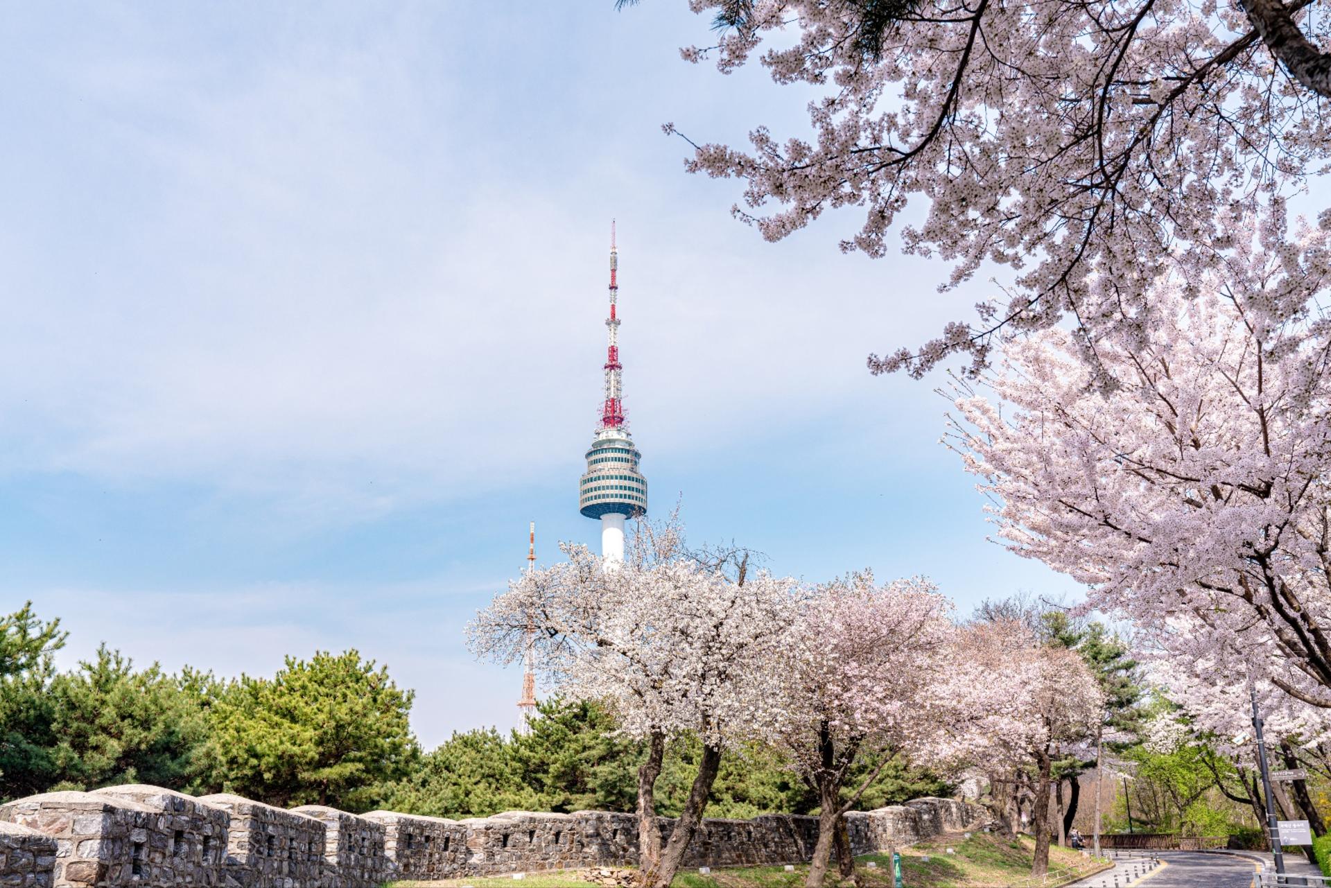 N Seoul Tower Observatory Ticket - Image 1