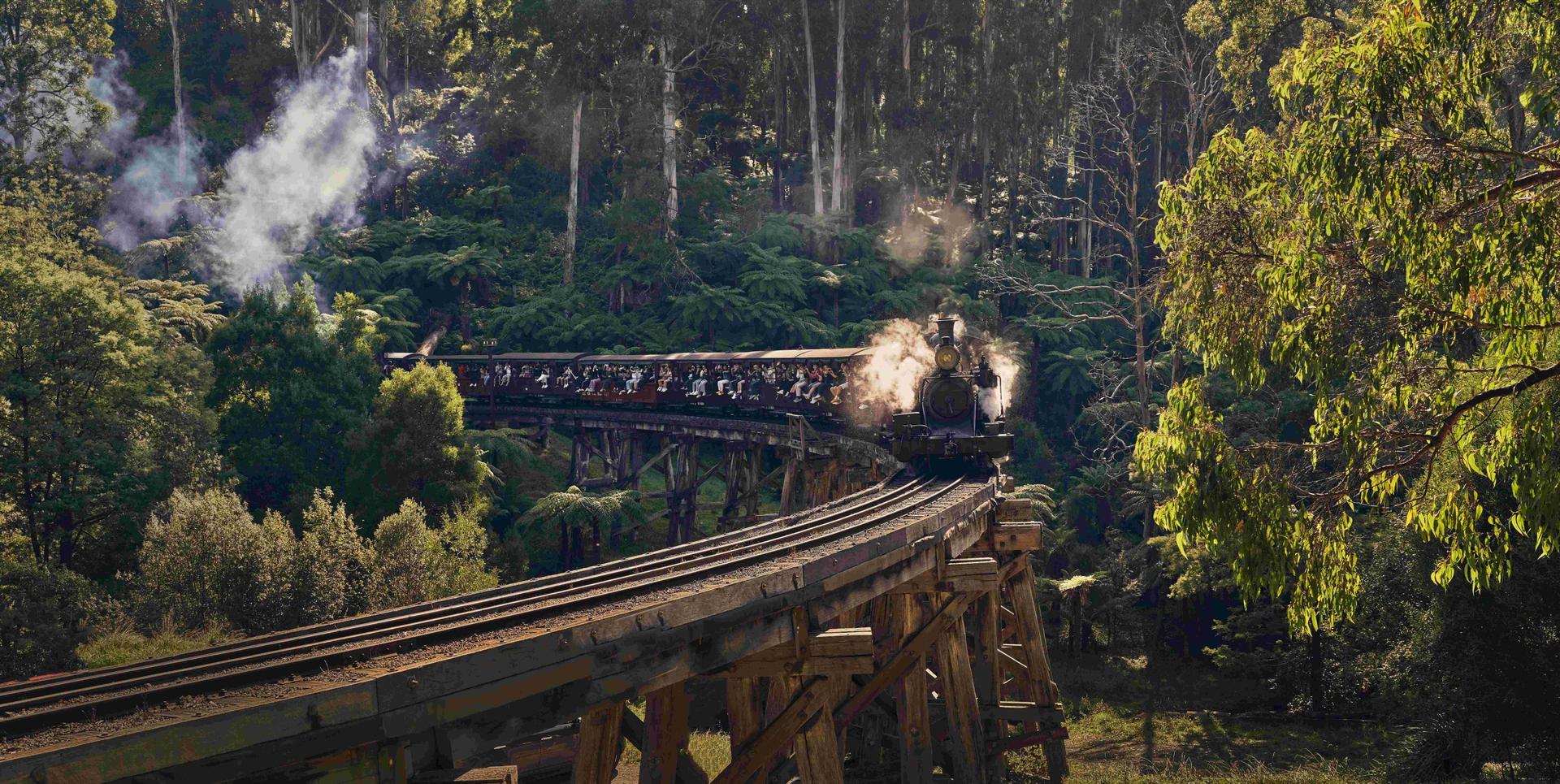 Puffing Billy, Phillip Island and Brighton Beach Tour - Thumbnail 7