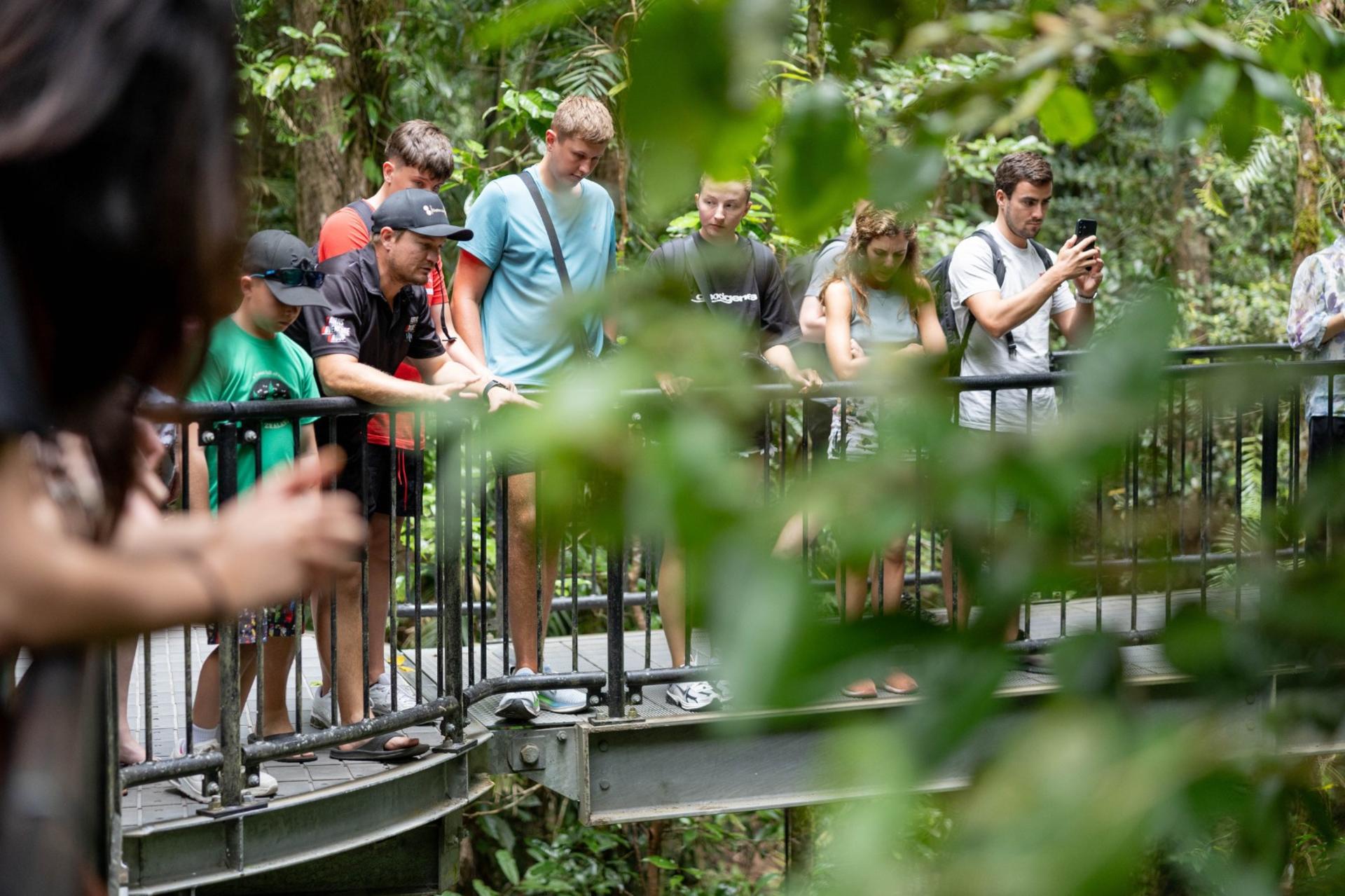 Daintree Rainforest & Mossman Gorge Day Tour from Cairns - Thumbnail 5