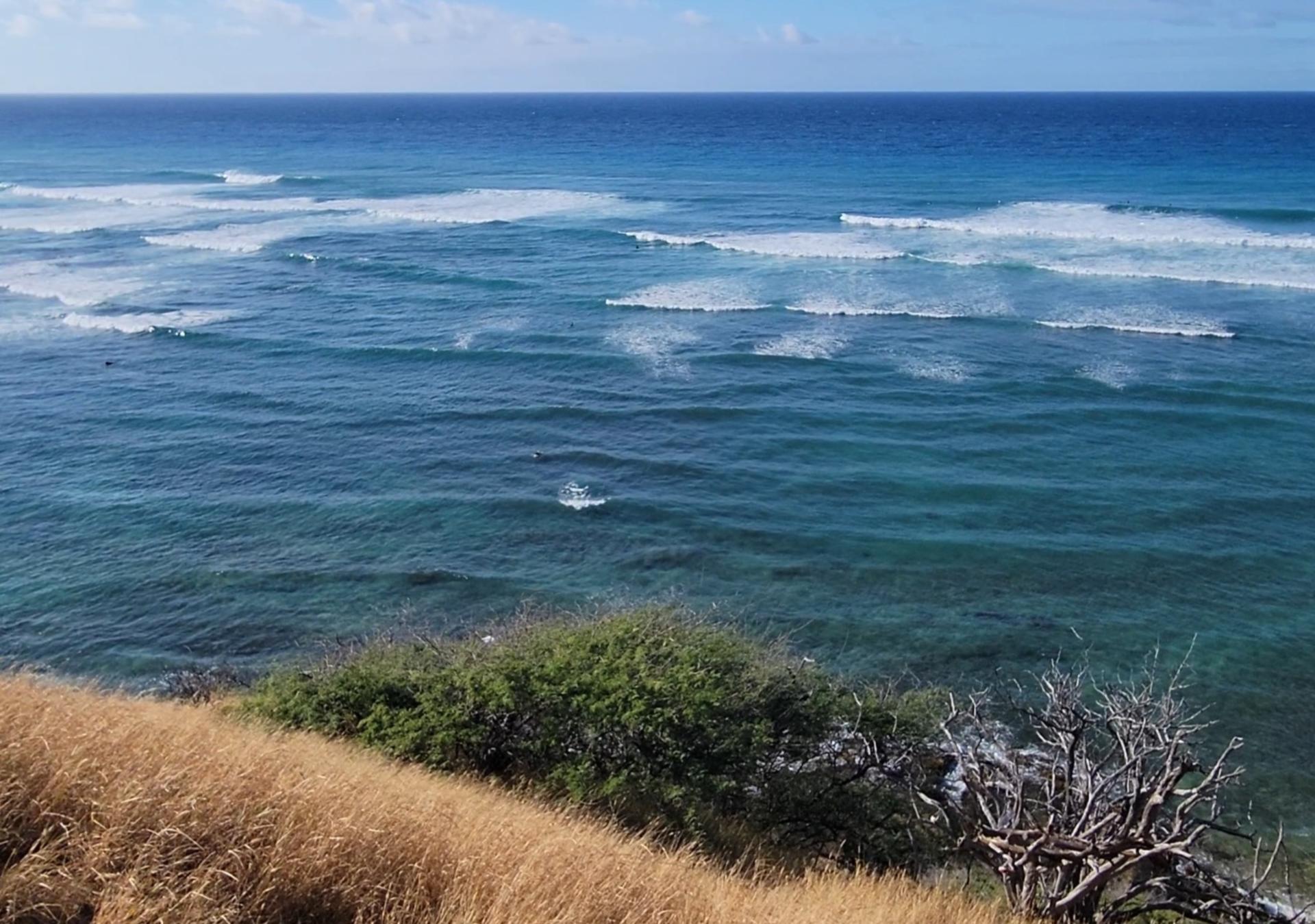 Oahu North Shore Circle Island Adventure + Swimming with Turtles - Thumbnail 10