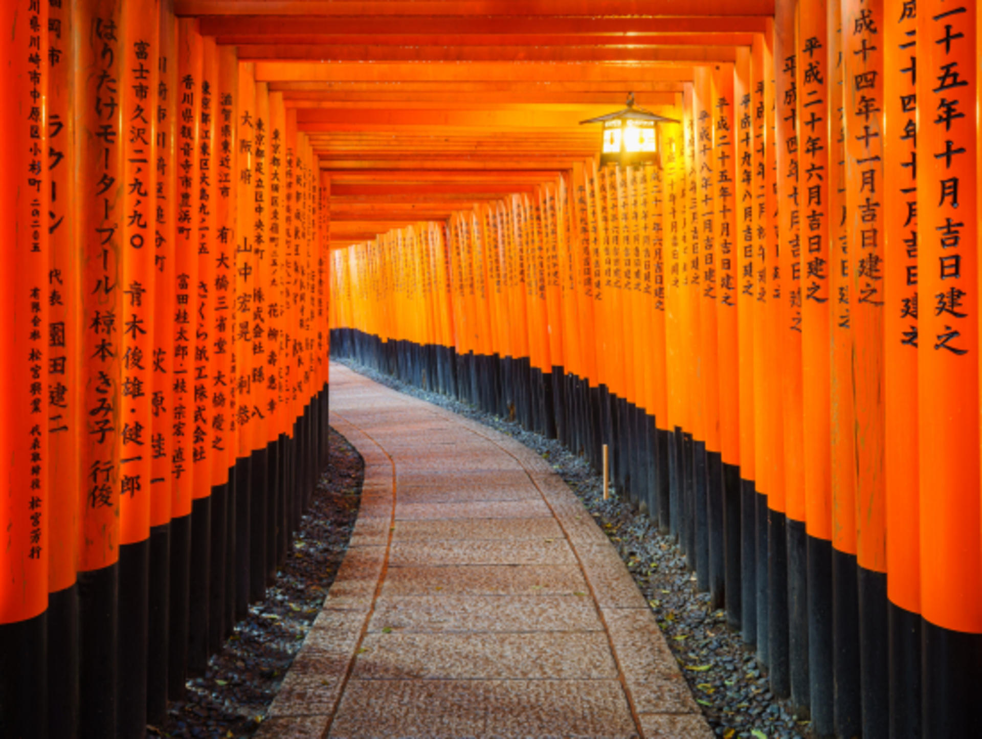 Osaka Departure丨Kansai Region Customized Private Car Day Tour (Osaka/Kyoto/Nara/Kobe/Wakayama) - Thumbnail 4