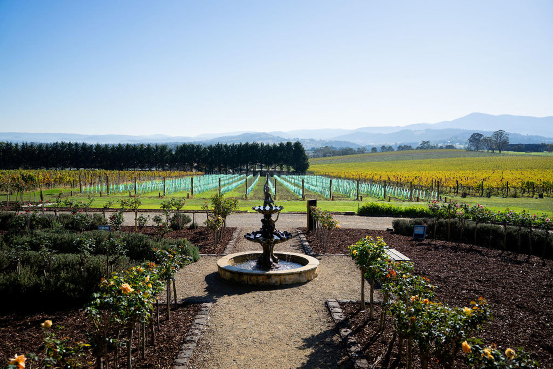 Yarra Valley Wine Tour with Gin, Cider, Beer and Chocolate - Thumbnail 37