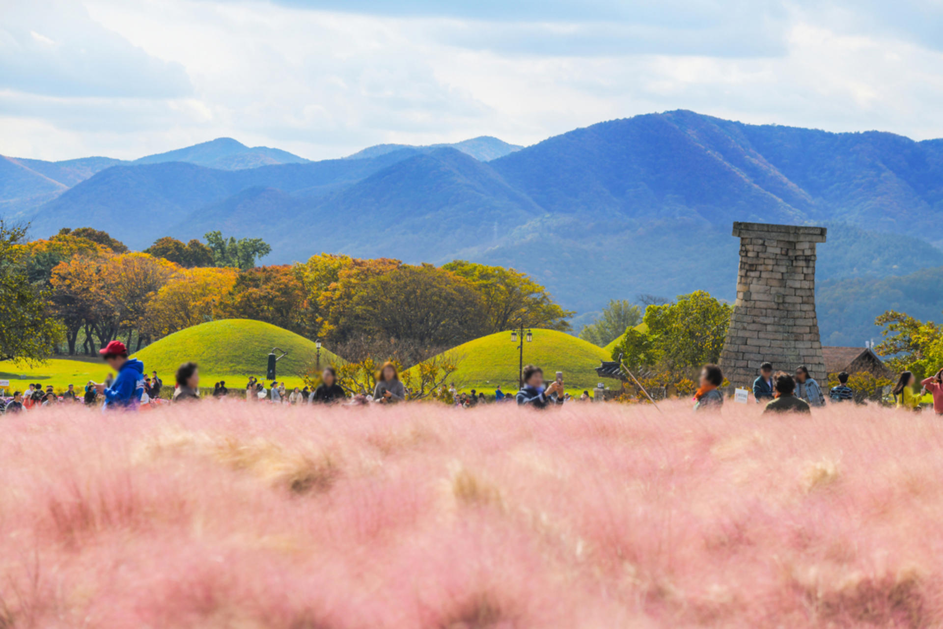 Gyeongju Full-Day UNESCO Sites Guided Tour - Thumbnail 24