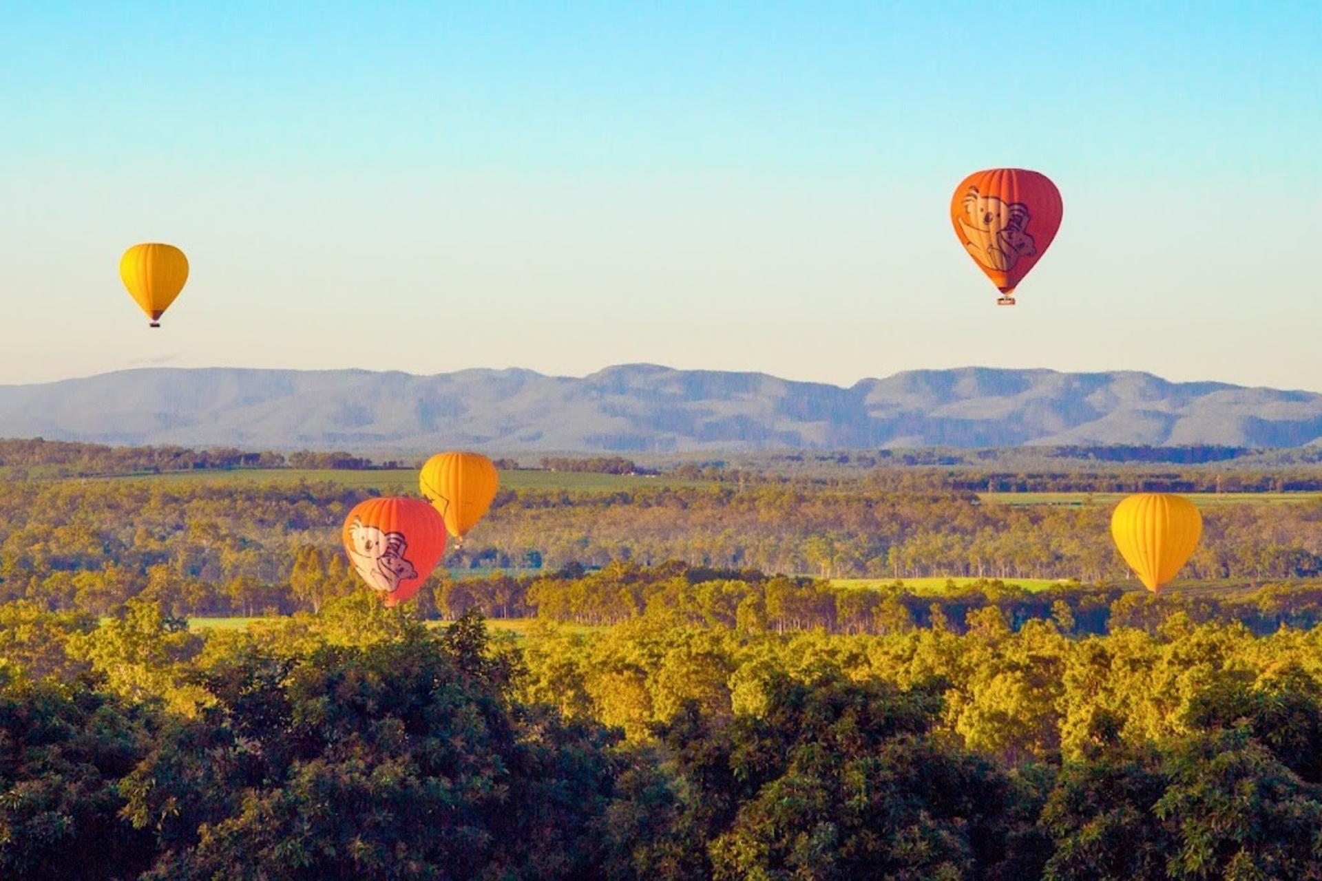 Hot Air Balloon Experience in Cairns and Port Douglas - Image 1
