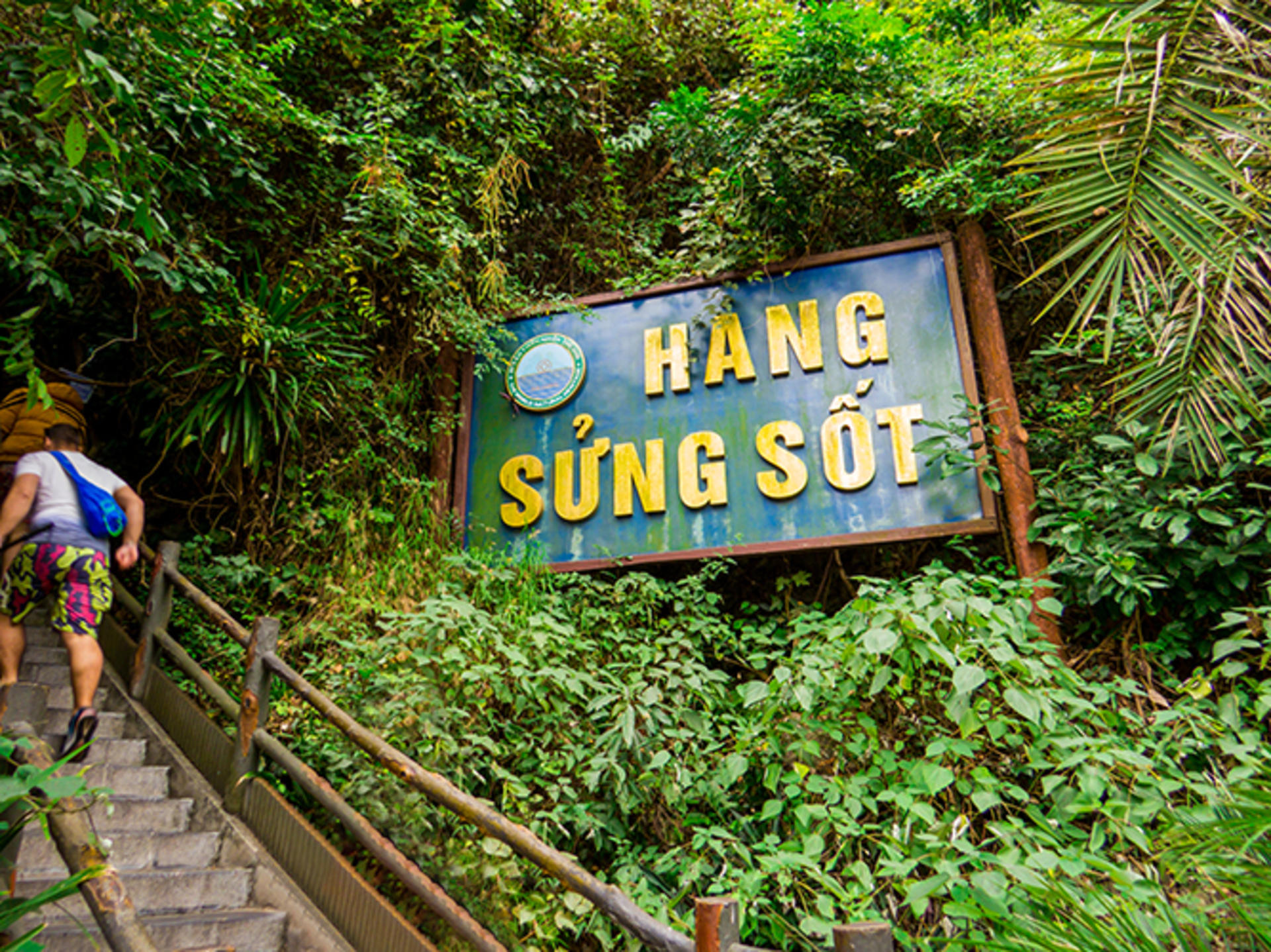 Arcady Premium Day Cruise: Ha Long Bay with Sung Sot & Ti Top - Thumbnail 16