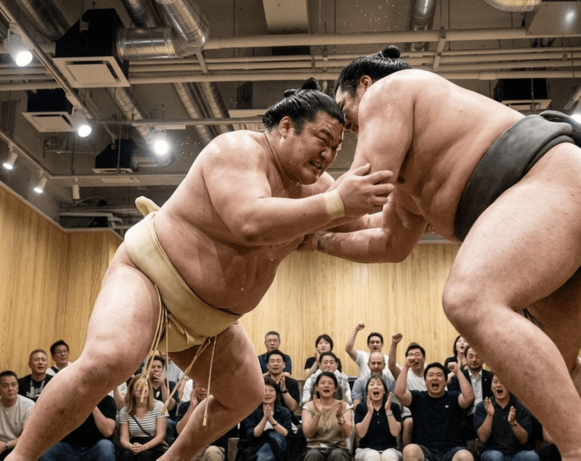 Kyoto: Sumo Show with Photo & Experience - Image 1