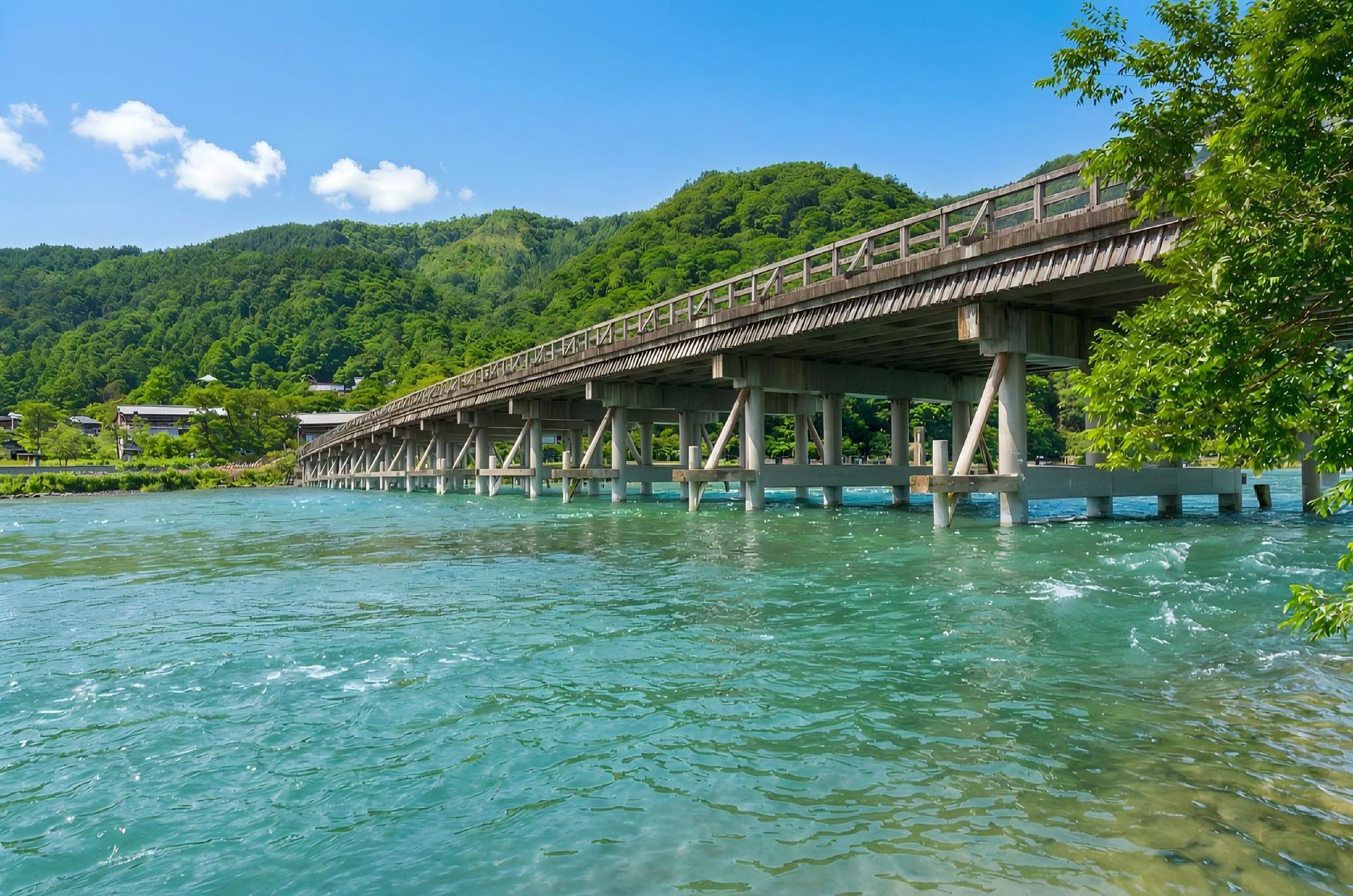 【Kyoto & Nara Historical and Cultural Scenic Day Tour】Arashiyama Scenic Railway & Fushimi Inari-taisha Shrine Senbon Torii & Nara Park & Togetsukyo Bridge & Bamboo Grove Path & Kimono Forest (Departing from Osaka or Kyoto) - Thumbnail 47