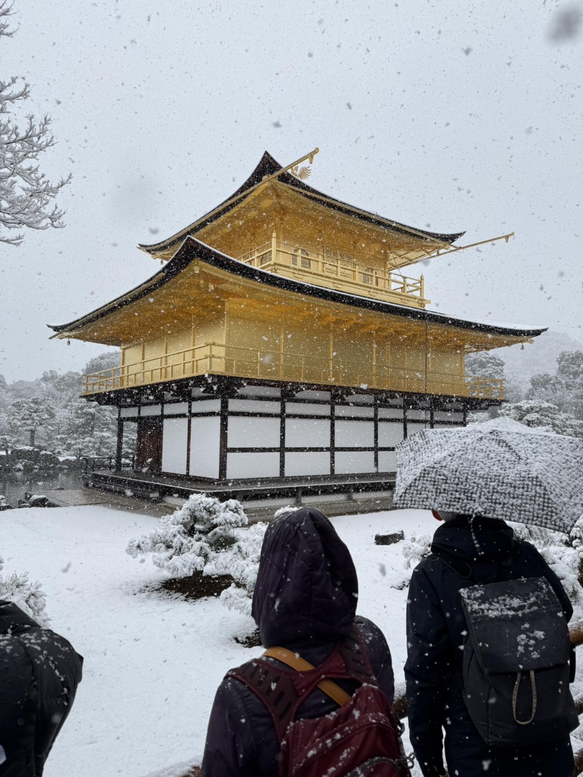 Kyoto Half-Day Electric Bike Tour with Guide - Thumbnail 3