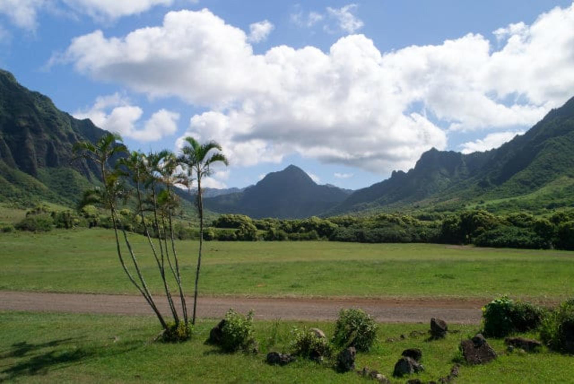 Kaneohe Hakipu u Rainforest Jungle Expedition - Thumbnail 8