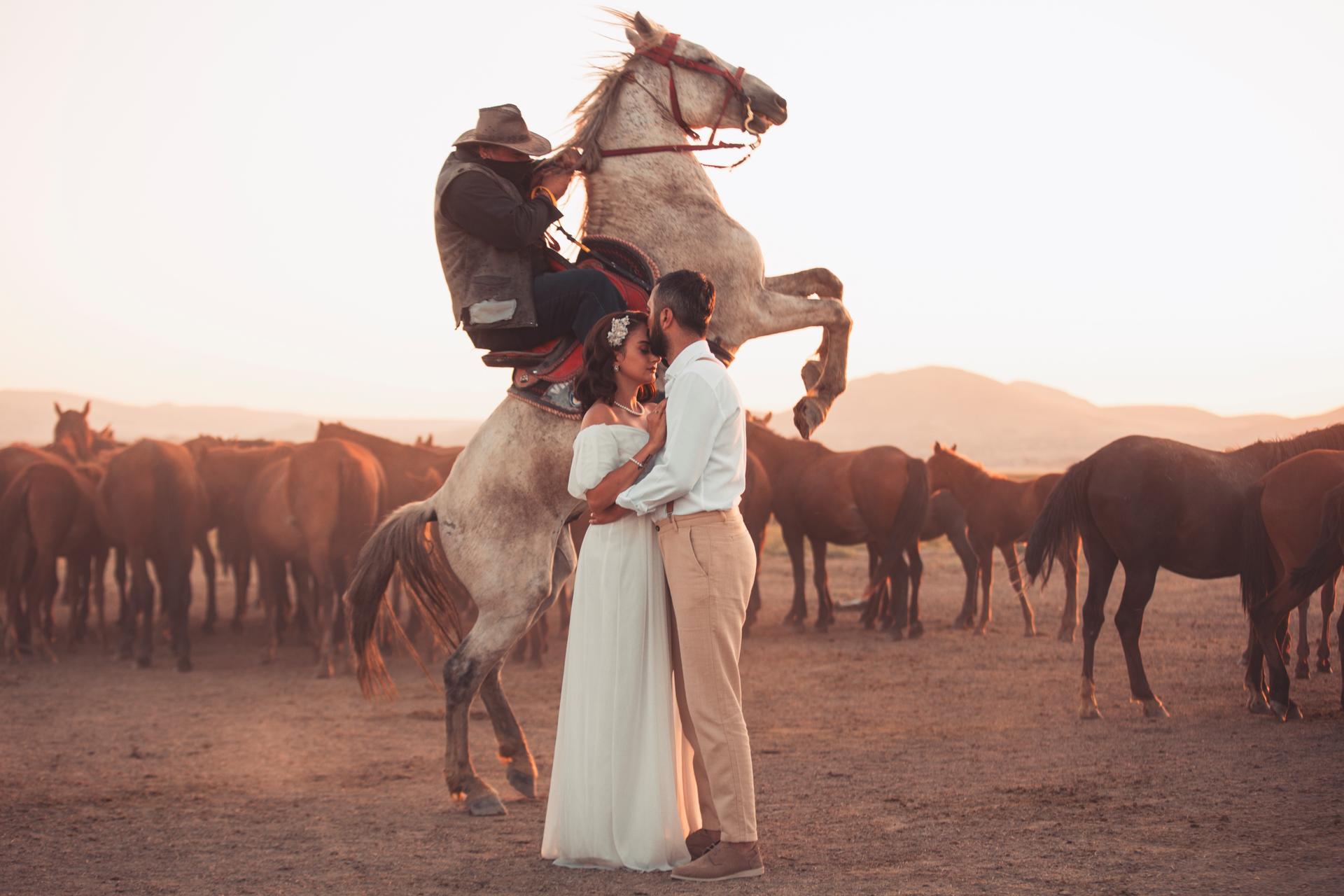 Private Photoshoot With Wild Horses in Cappadocia - Thumbnail 7