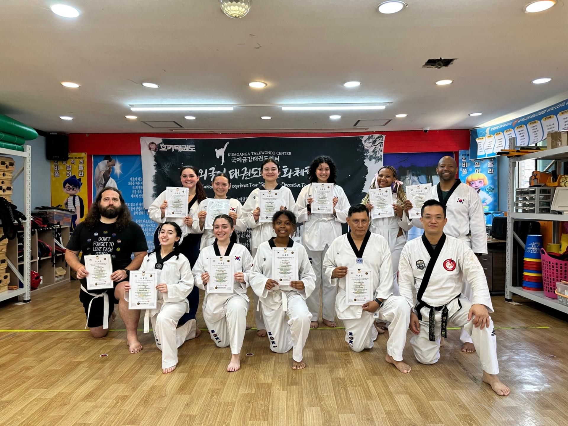 Seoul Taekwondo One-Day Experience - Thumbnail 4