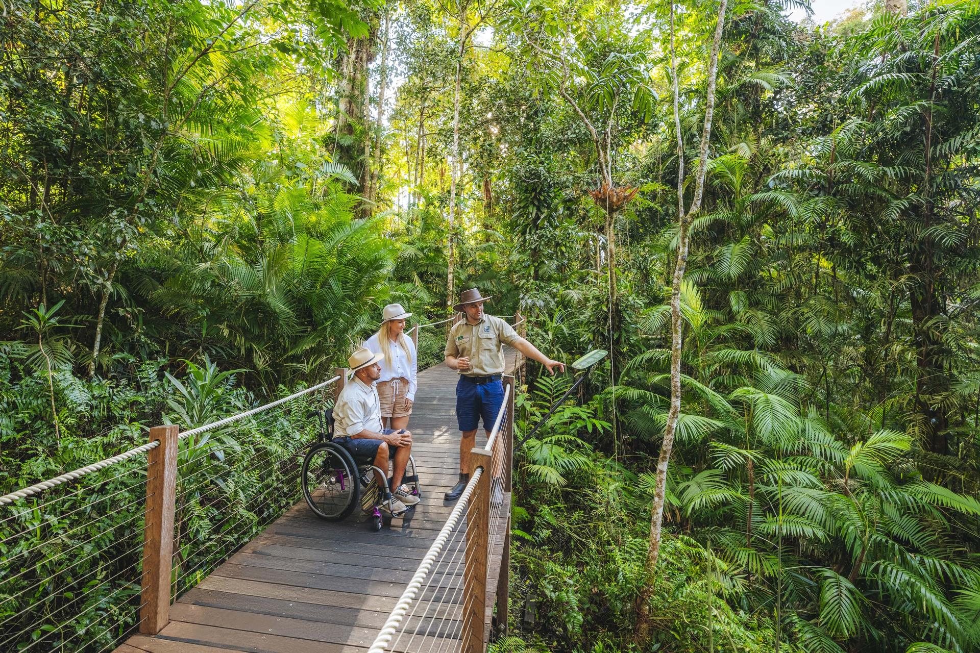 Skyrail Rainforest Cableway and Kuranda Scenic Railway Tickets - Thumbnail 11