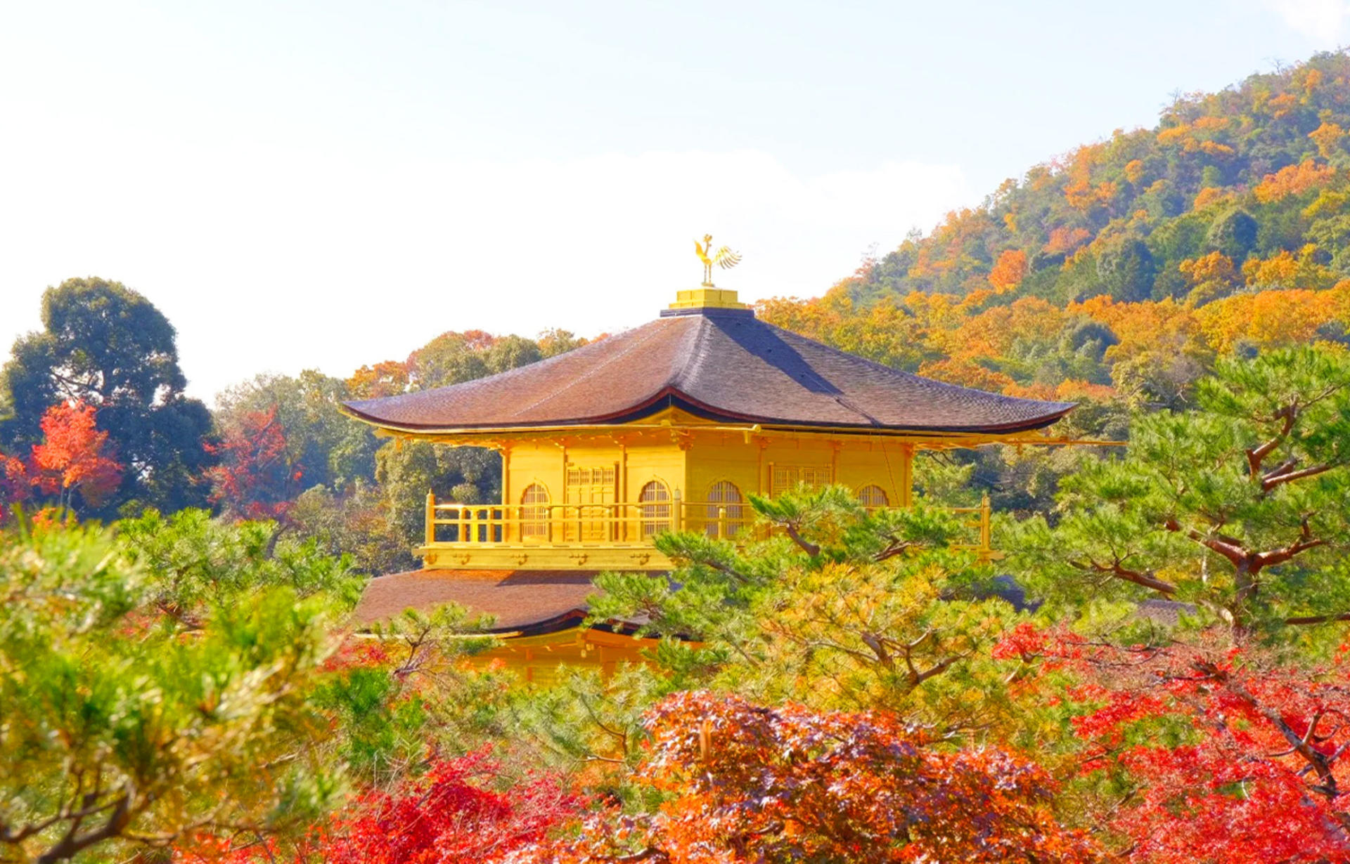 Kinkaku-ji Temple & Arashiyama Night Train Illuminations Autumn Foliage Viewing Day Tour - Thumbnail 2