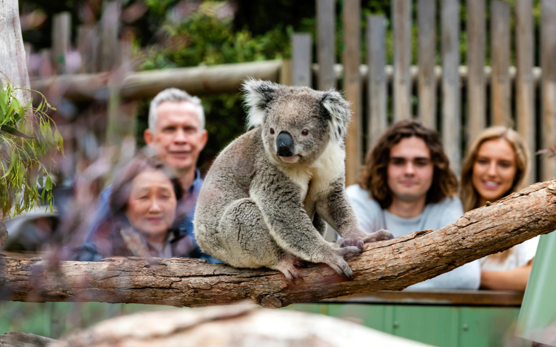 Melbourne City Highlights Private Day Tour - Thumbnail 4