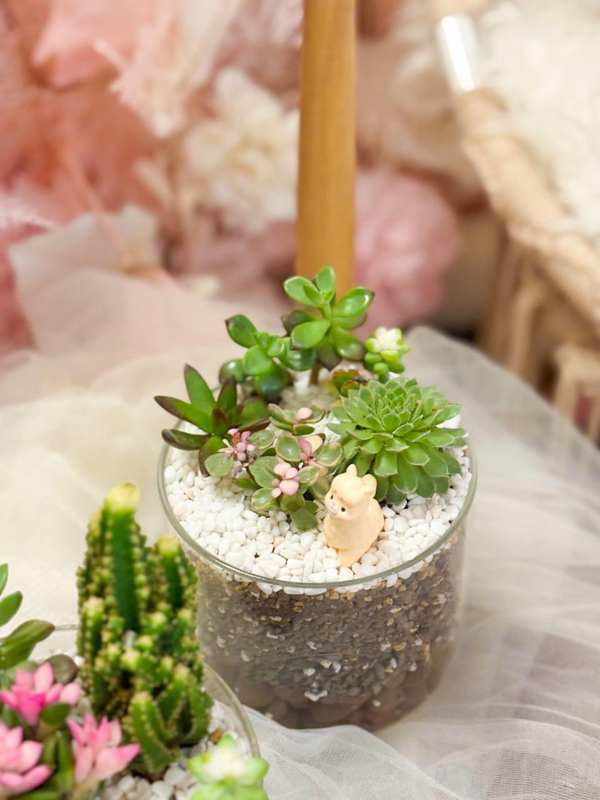 Myosotis Flower - Succulent Terrarium Workshop - Thumbnail 38