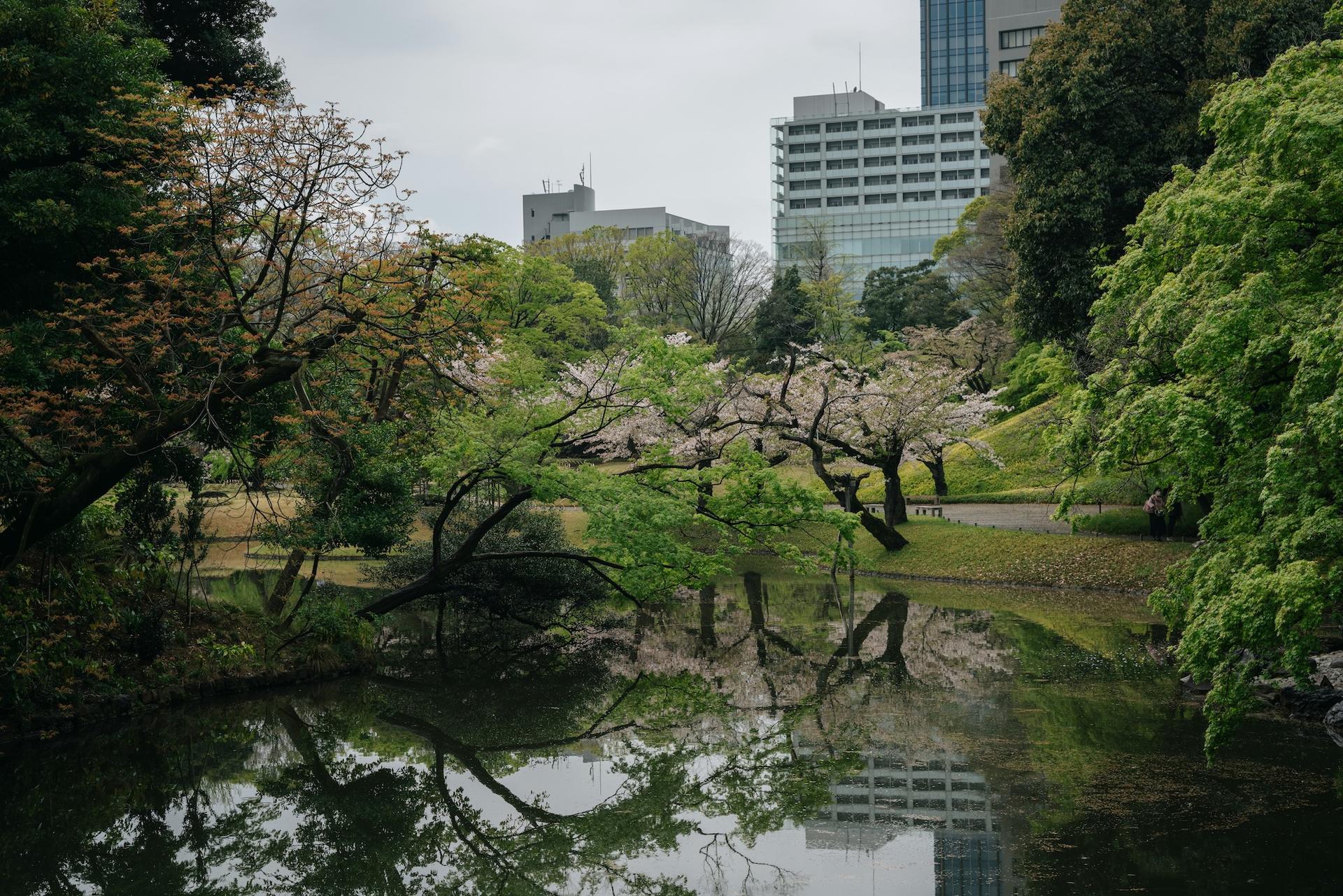 From Asakusa: Old Tokyo, Temples, Gardens and Pop Culture - Thumbnail 40