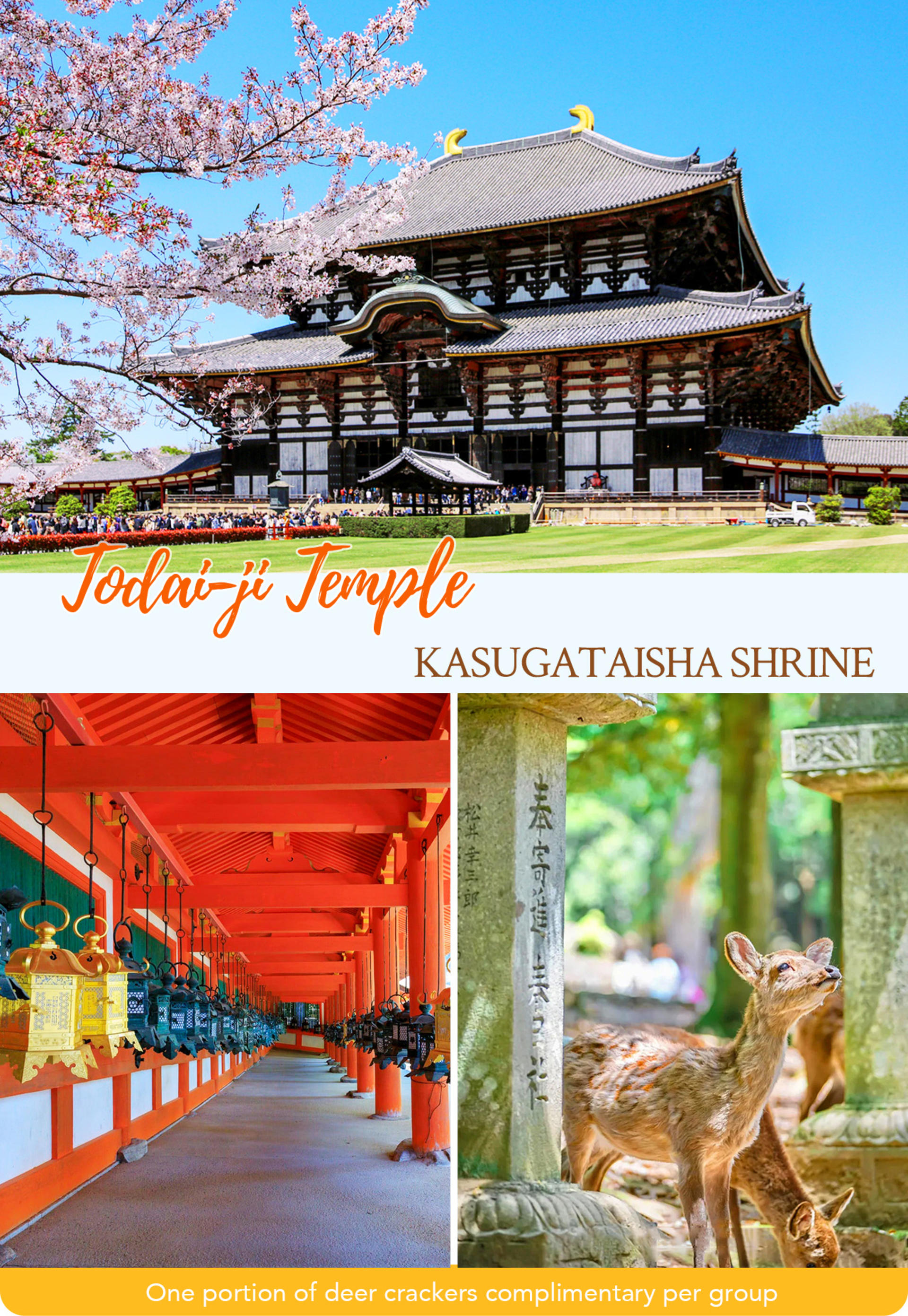 Kyoto, Arashiyama, Nara: Sagano Scenic Railway, Bamboo Forest Path, Yuzen Forest of Light, Nara Park, Fushimi Inari Shrine, Chiikawa Store Visit Day Trip | Departure from Osaka - Thumbnail 11