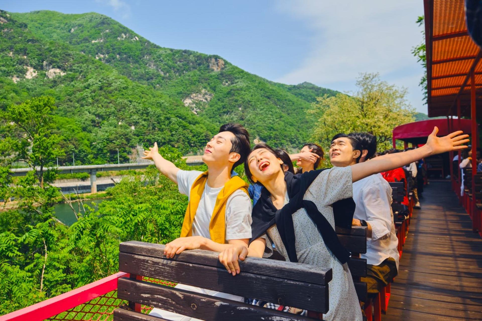 Gangwon-do and Gyeonggi-do Private Car Charter - Image 1