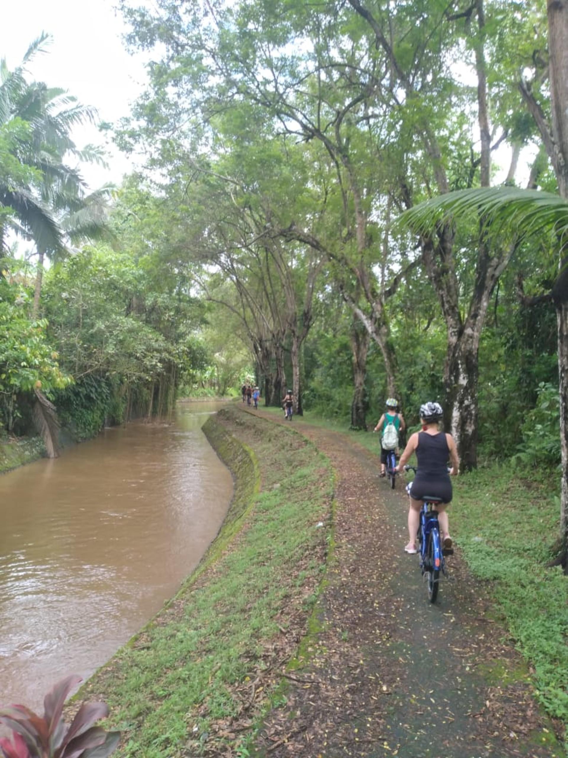 South Ubud Electric Bike Tour in Bali - Thumbnail 4