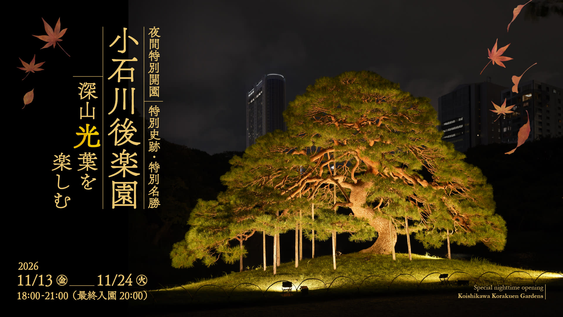 Special Evening Opening: Koishikawa Korakuen Park on an Autumn Night 2026 - Image 1
