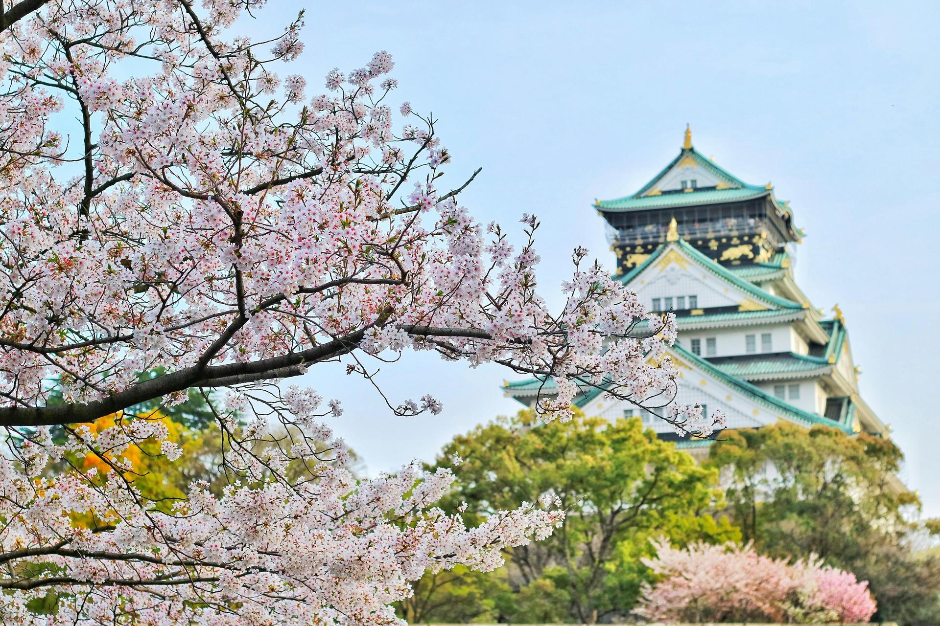 Osaka Castle 3 hours Historical Walking Tour - Thumbnail 11