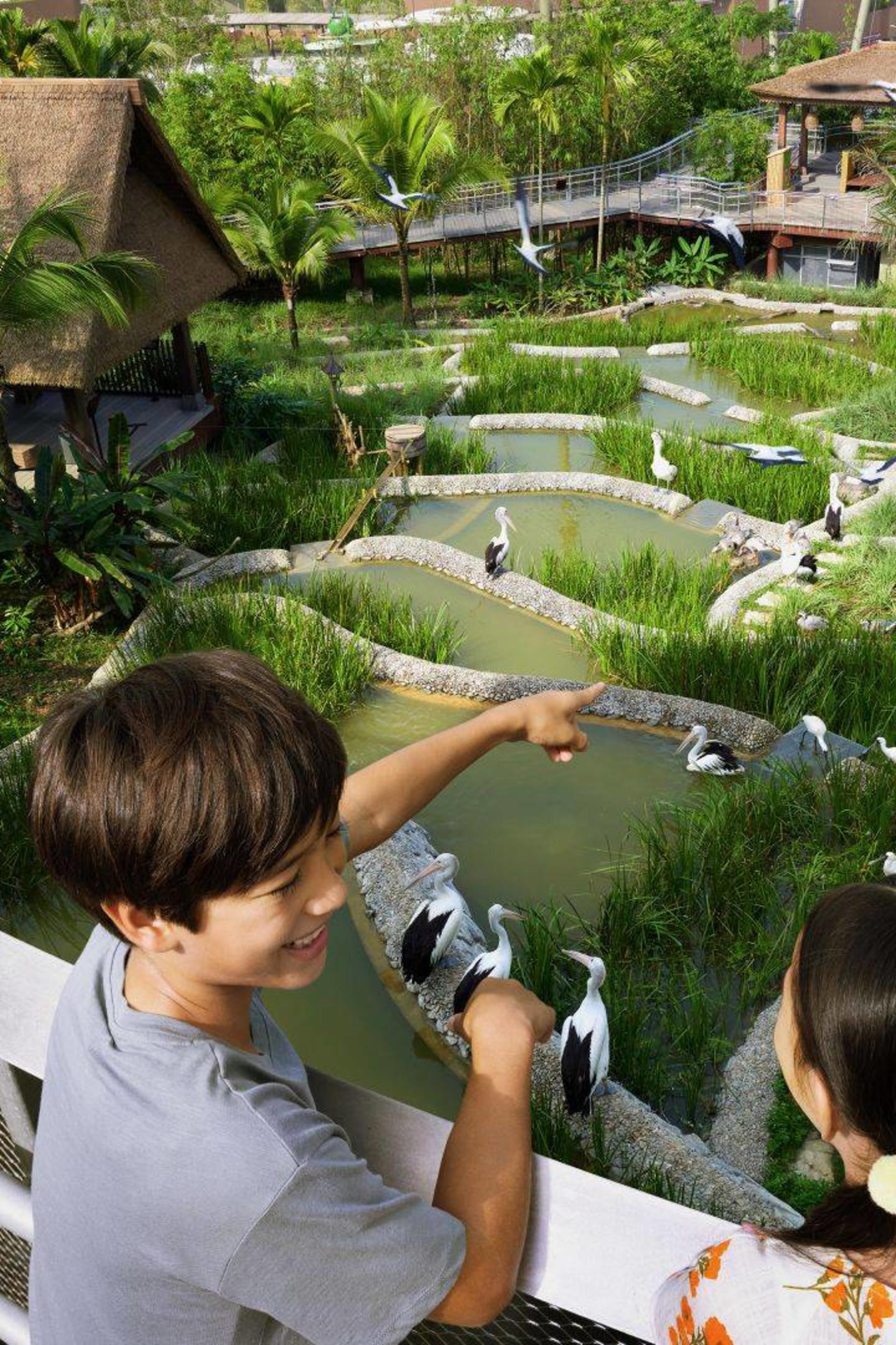 Bird Paradise Ticket | Mandai Wildlife Reserve, Singapore - Thumbnail 20