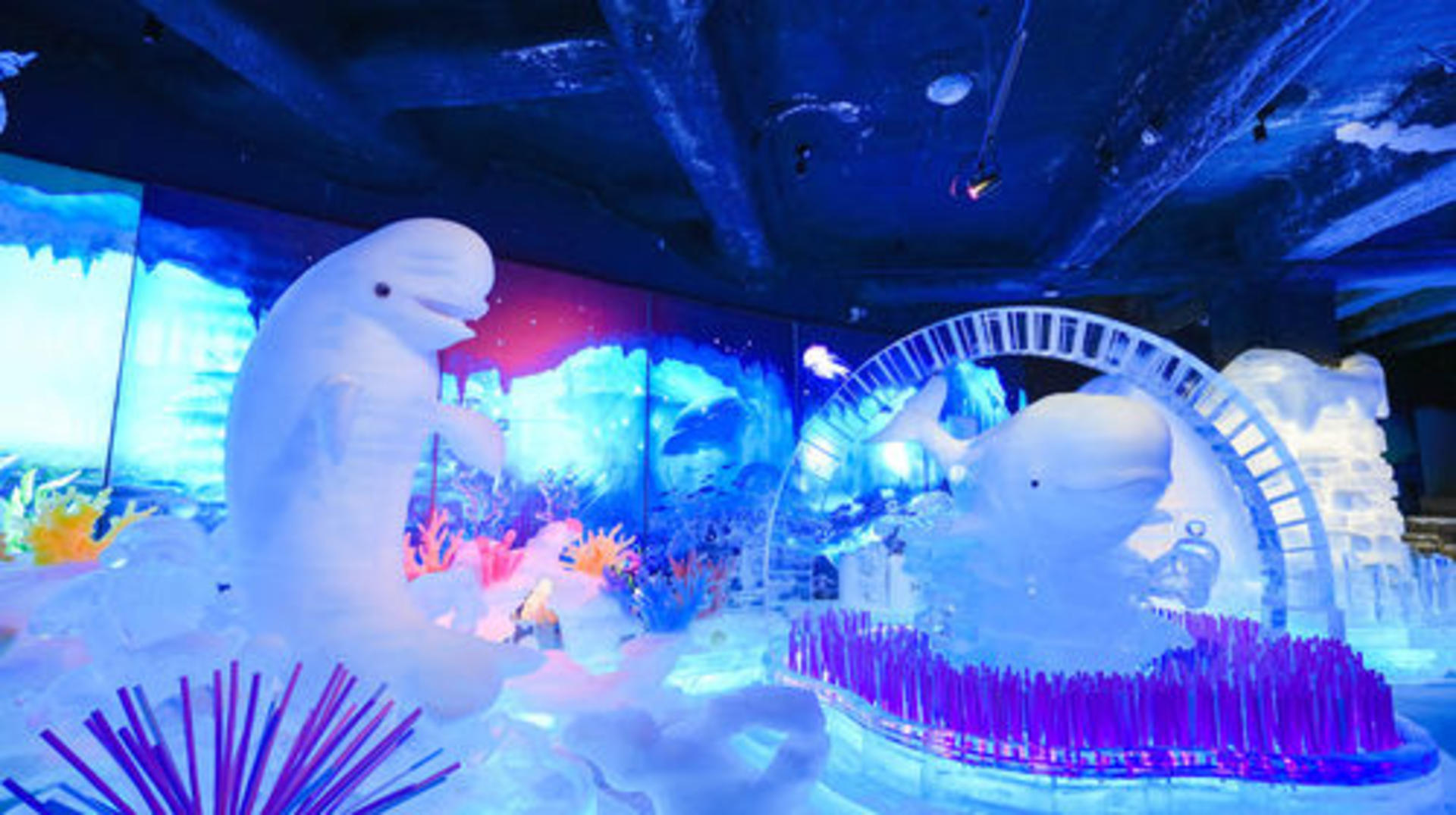 Chengdu Polar Ocean Park - Thumbnail 8