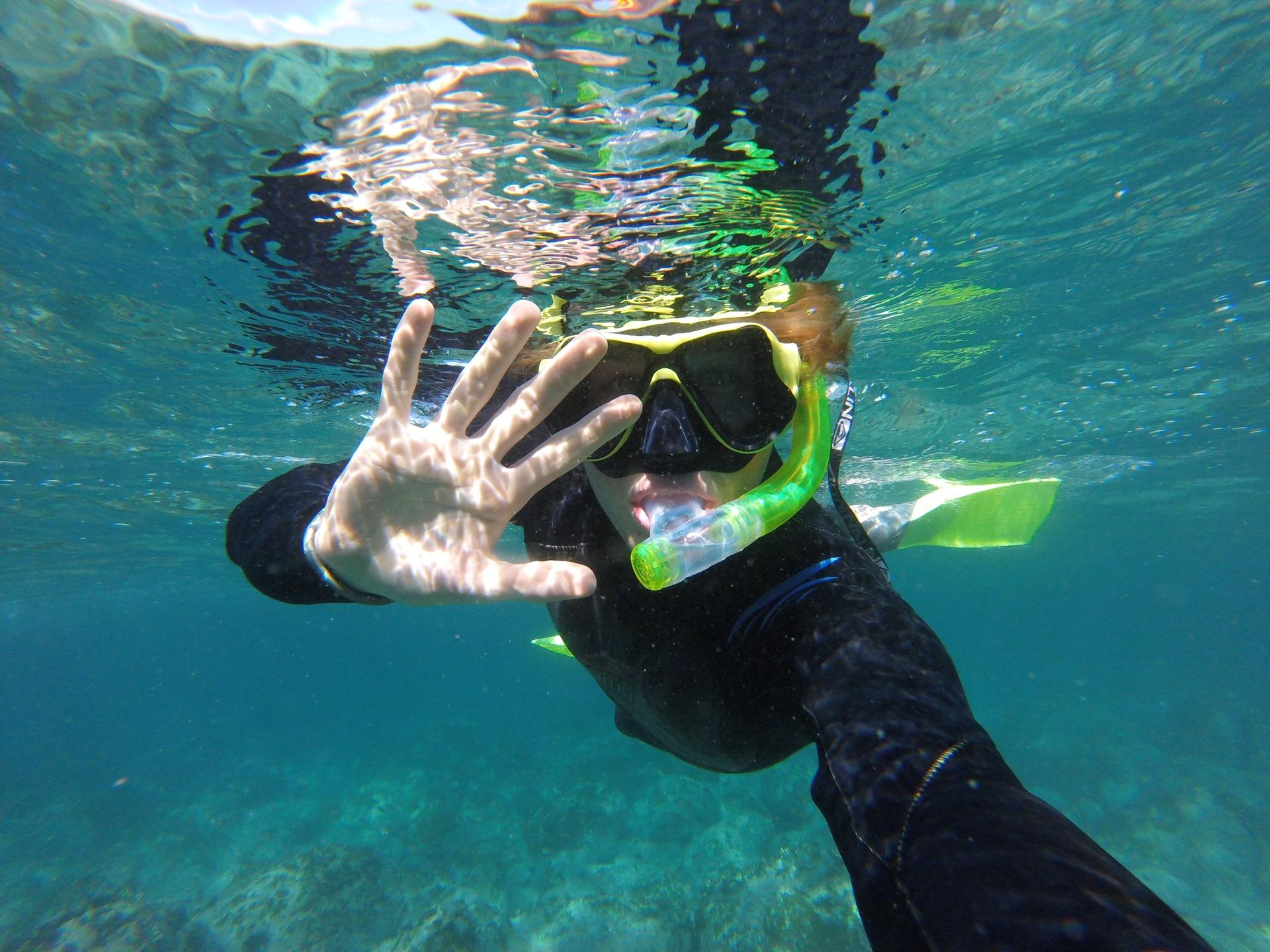 Manly Snorkel Tour with Guided Walking Tour - Image 1
