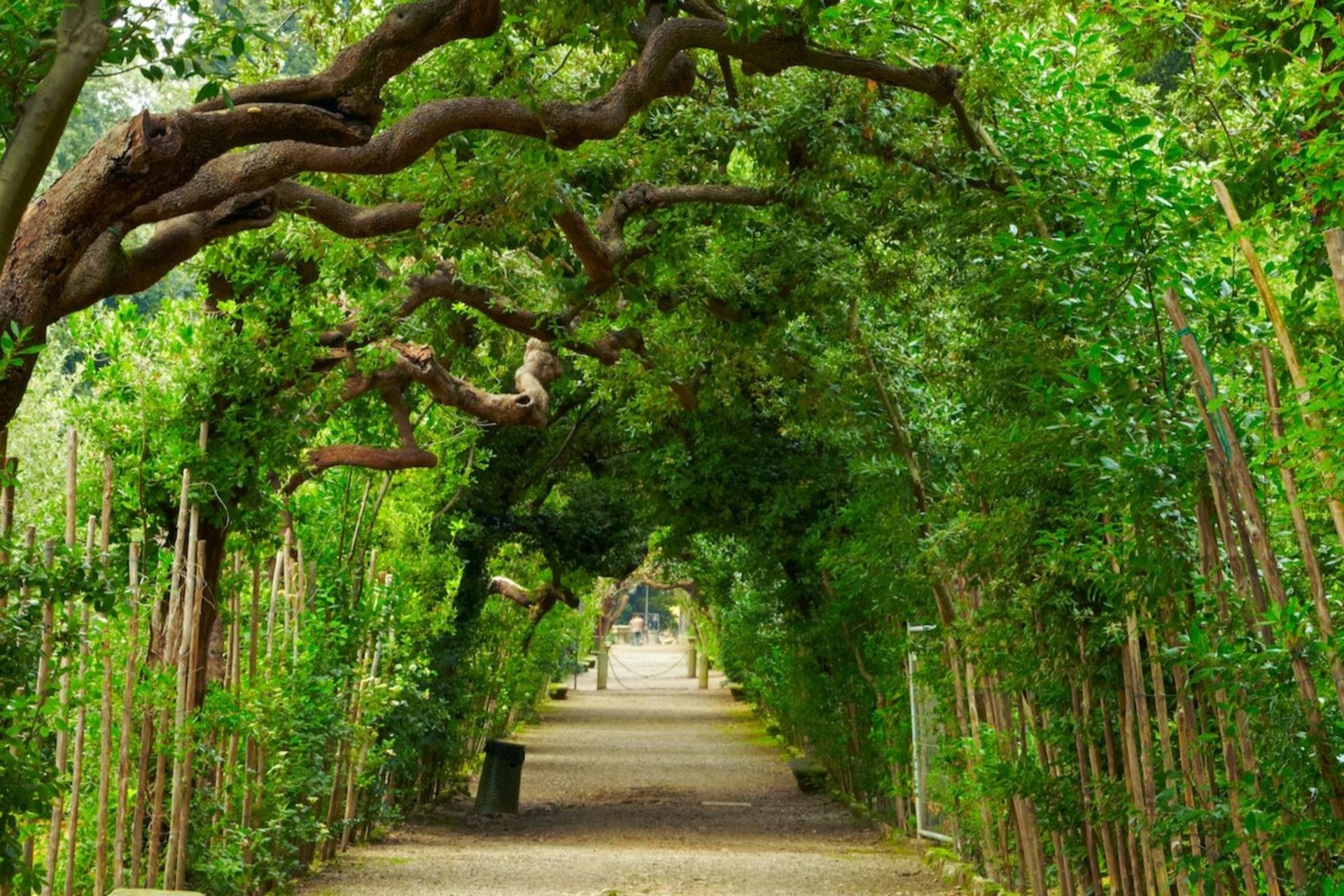 Pitti Palace, Boboli Gardens and Uffizi Gallery Ticket in Florence - Thumbnail 8