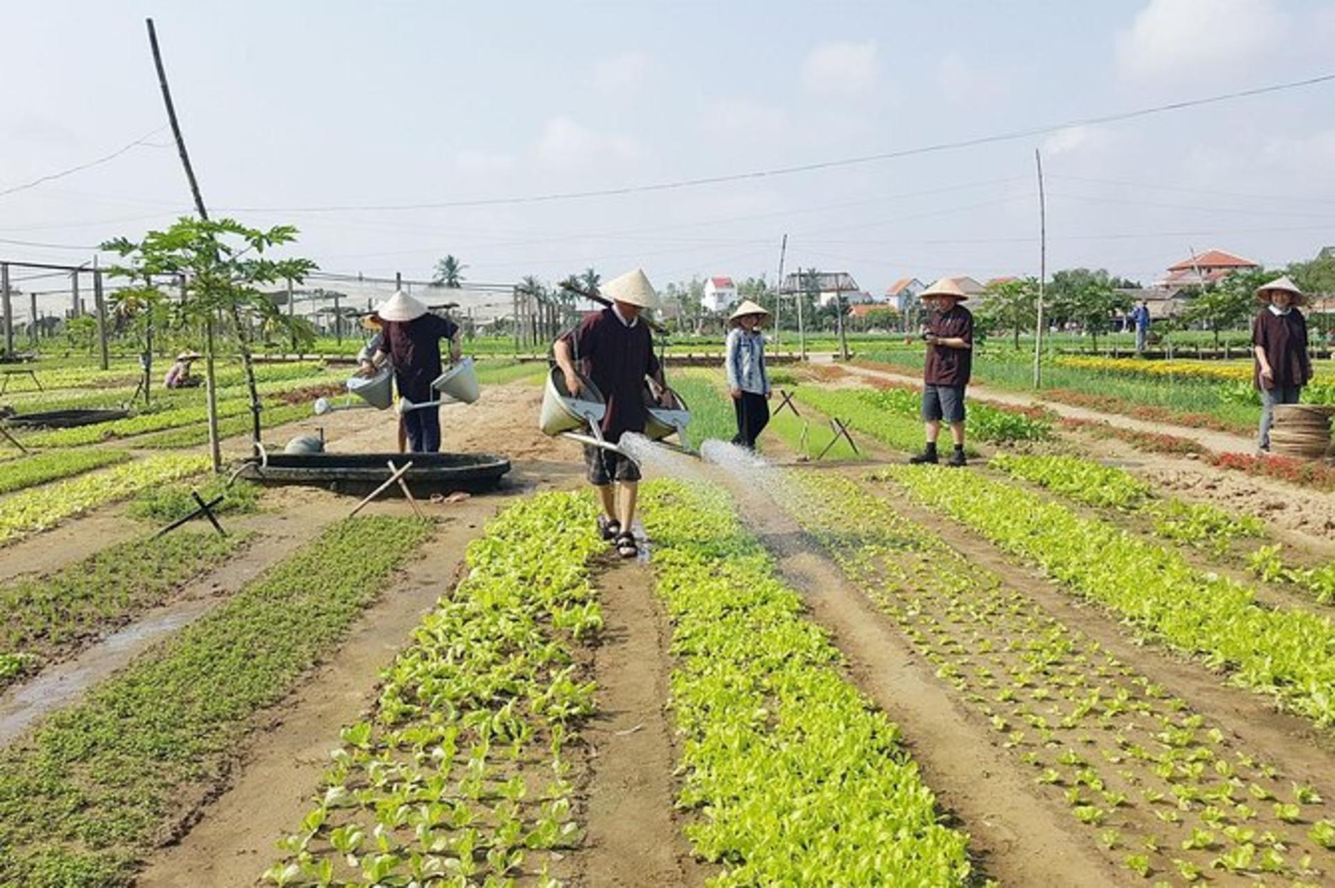 Tra Que Vegetable Village Cooking Class with Market Tour - Thumbnail 3