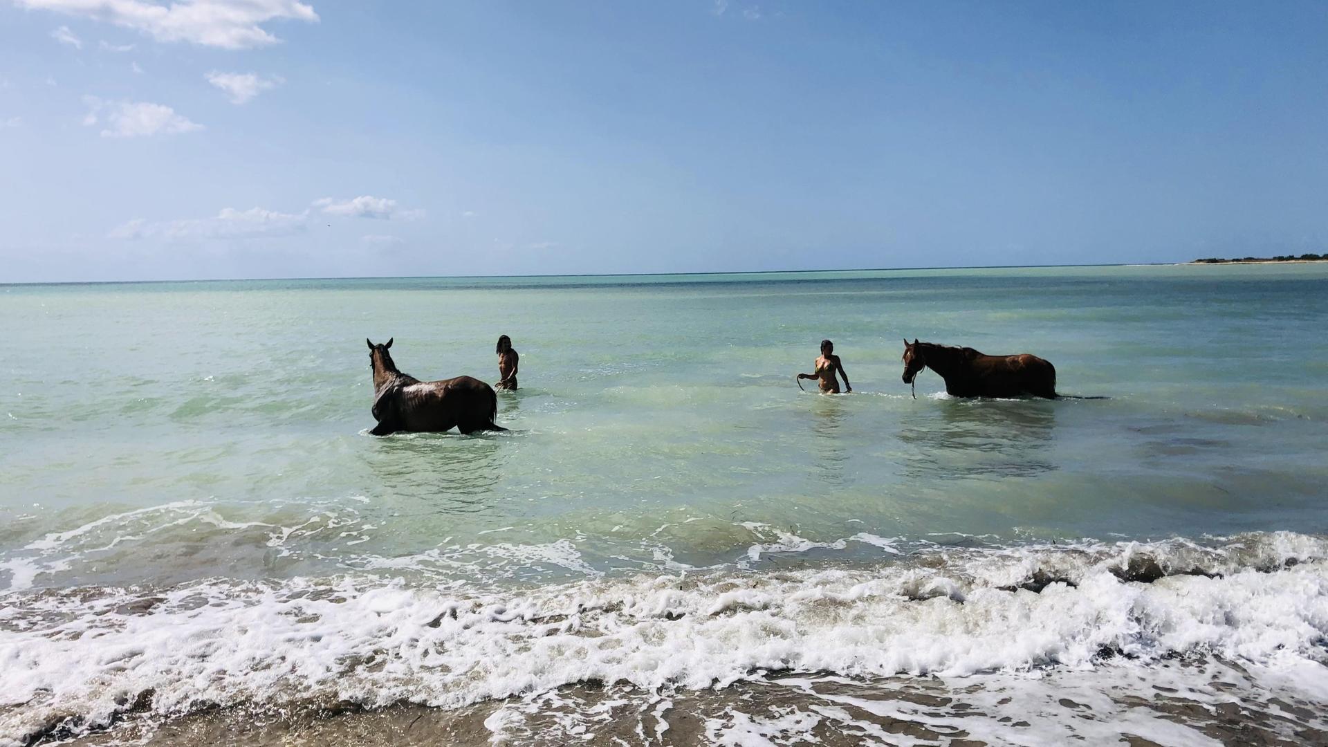 Private horseback riding experience on the beaches of Sciacca - Thumbnail 5