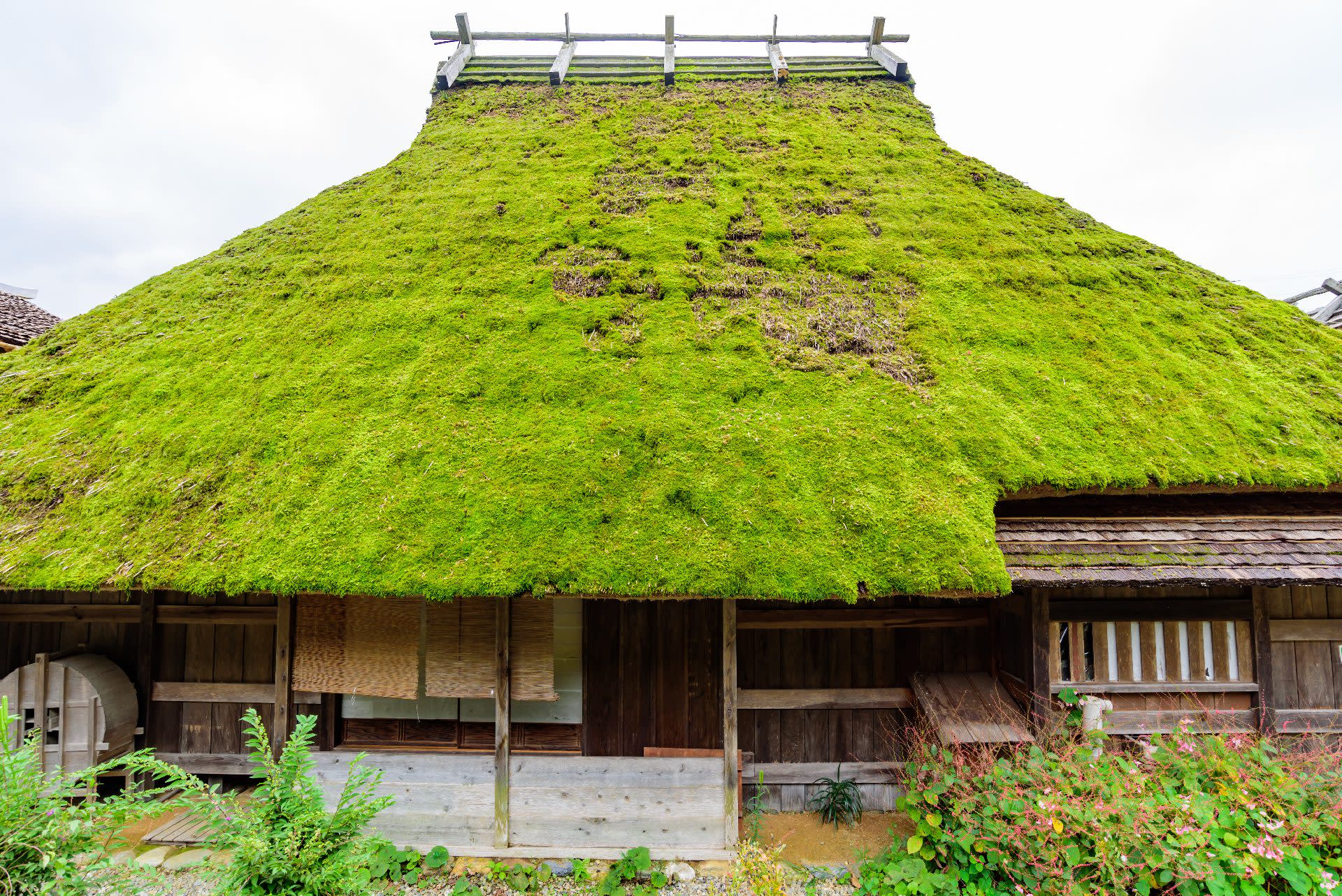 Day Trip to Amanohashidate & Ine no Funaya & Miyama Thatched Village in the Sea of Kyoto (Departure from Osaka or Kyoto) - Thumbnail 34