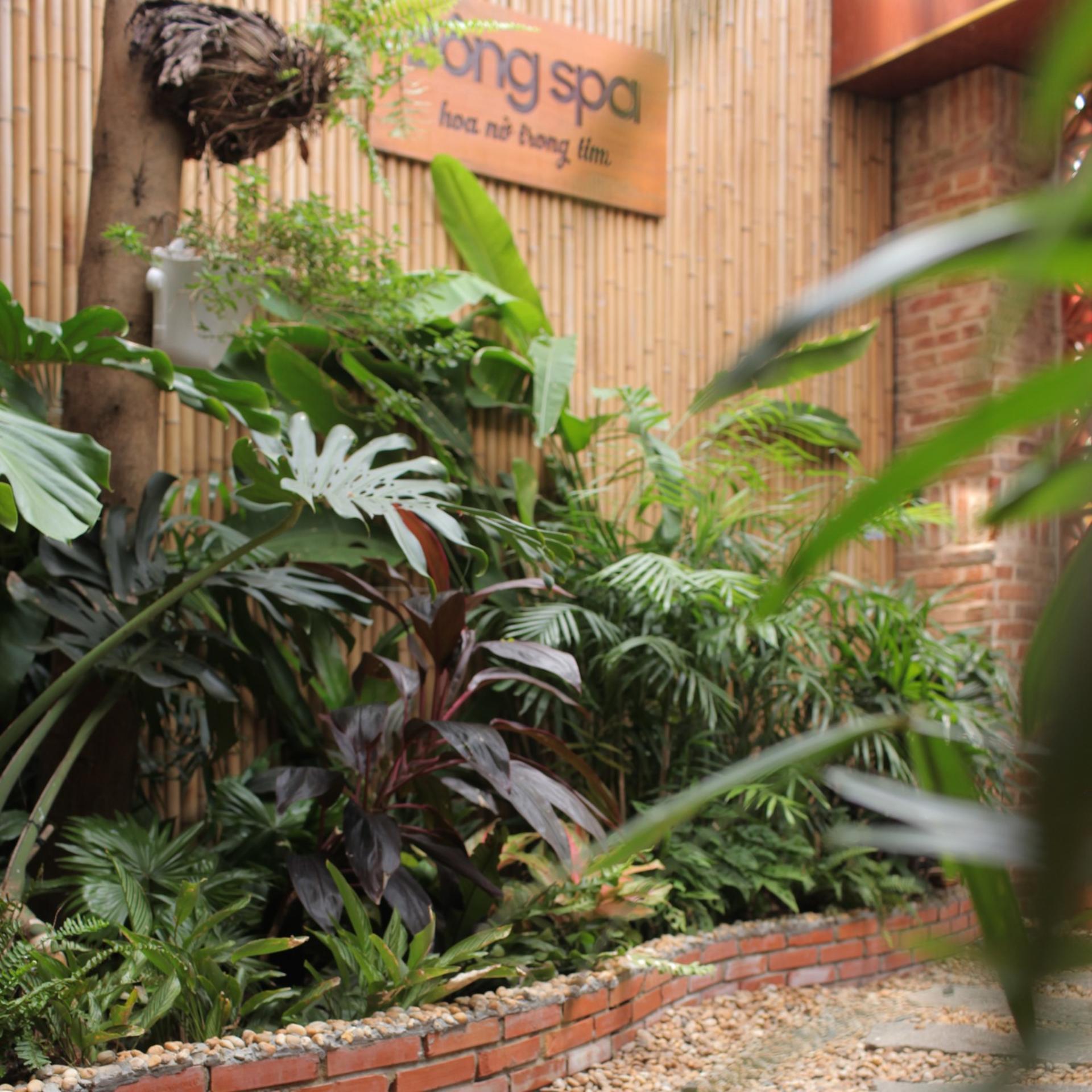 Bong Spa Nguyen Canh Chan: Unique Spa Experience in Ho Chi Minh City - Thumbnail 4
