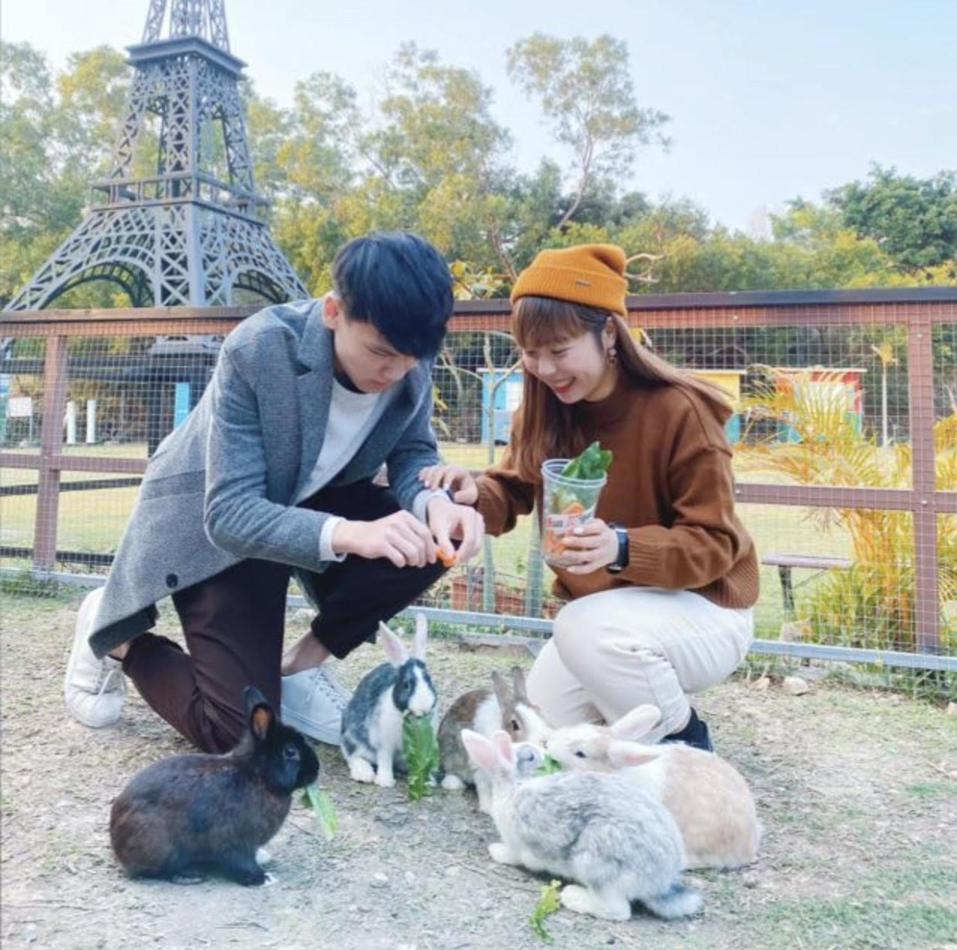 Family Activity - Bunny Wonderland Farm | Yuen Long - Thumbnail 5
