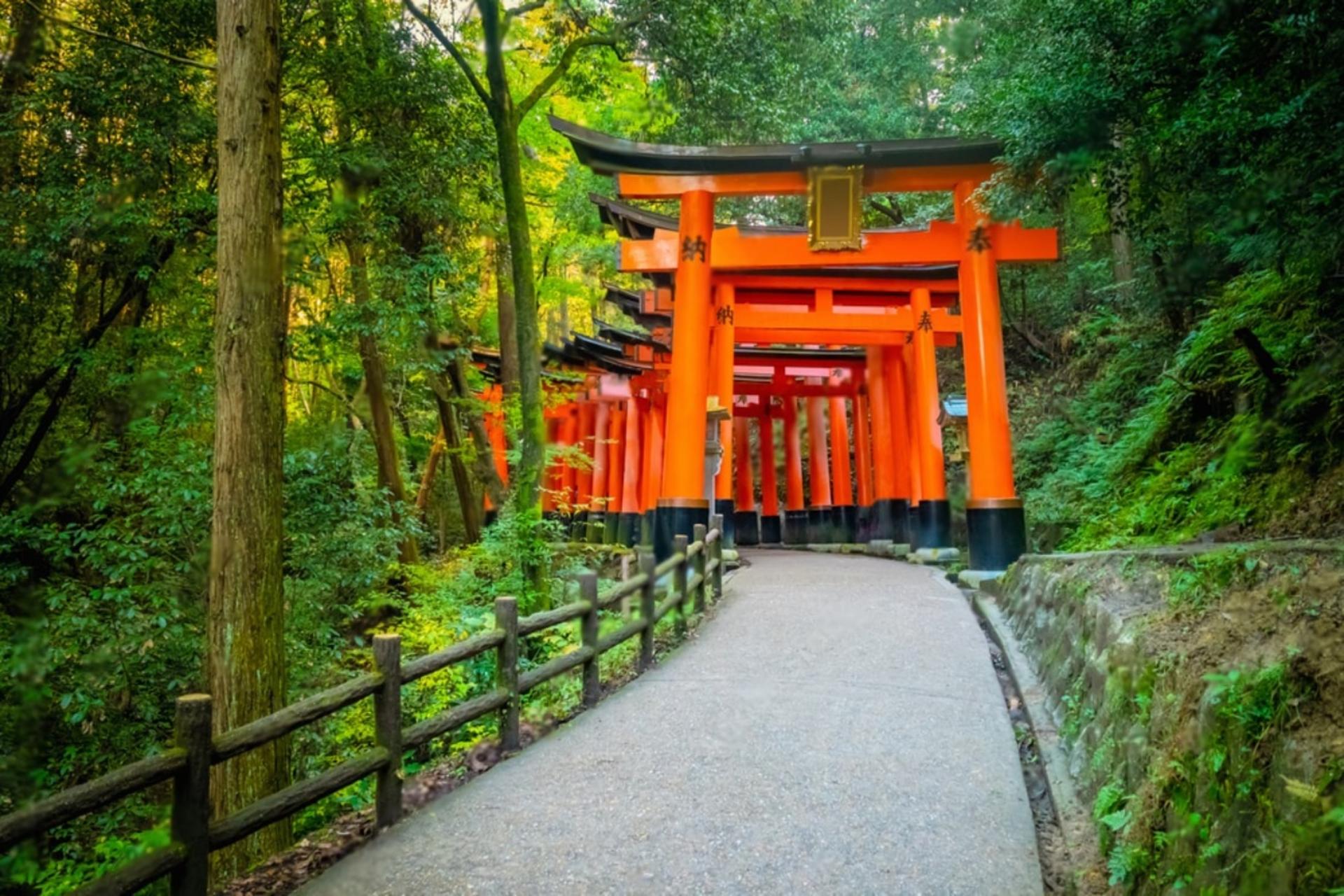 Kyoto Highlights Private Day Trip (Departure from Osaka/Kyoto) - Thumbnail 13