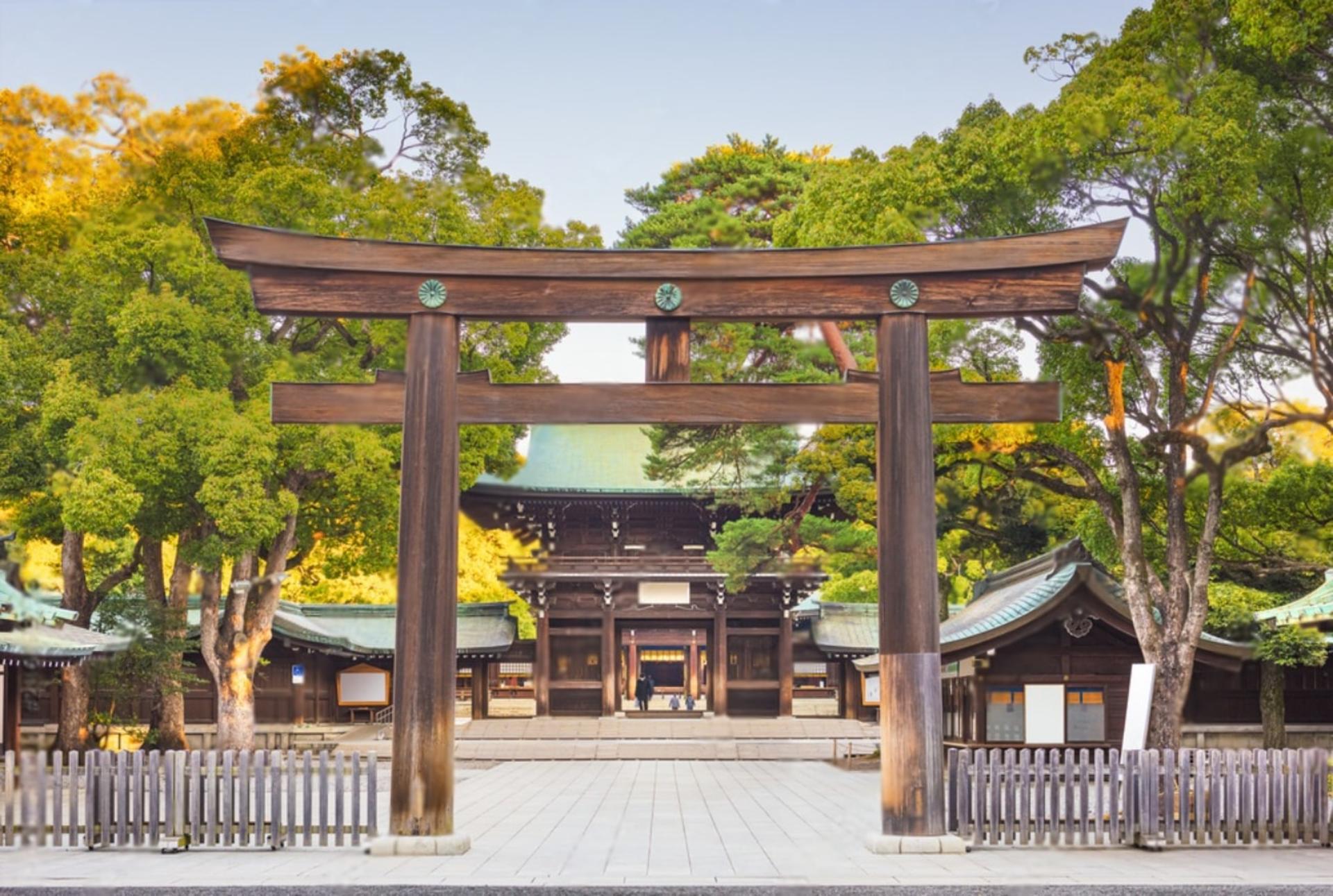 Tokyo Highlights Private Day Trip - Thumbnail 4