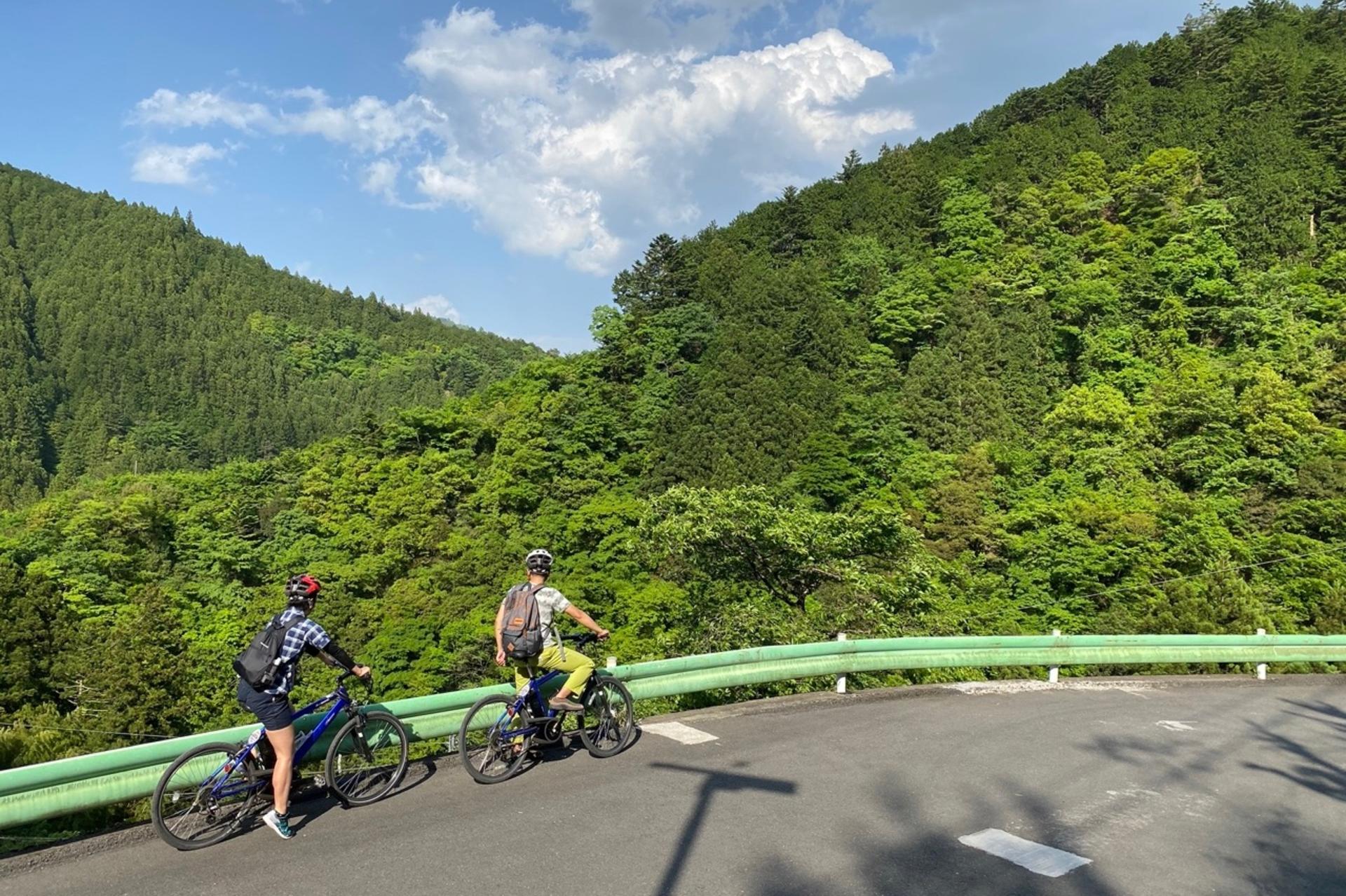 Tokyo Okutama Mountain Half-Day Cycling Adventure with Wasabi Tasting - Thumbnail 2