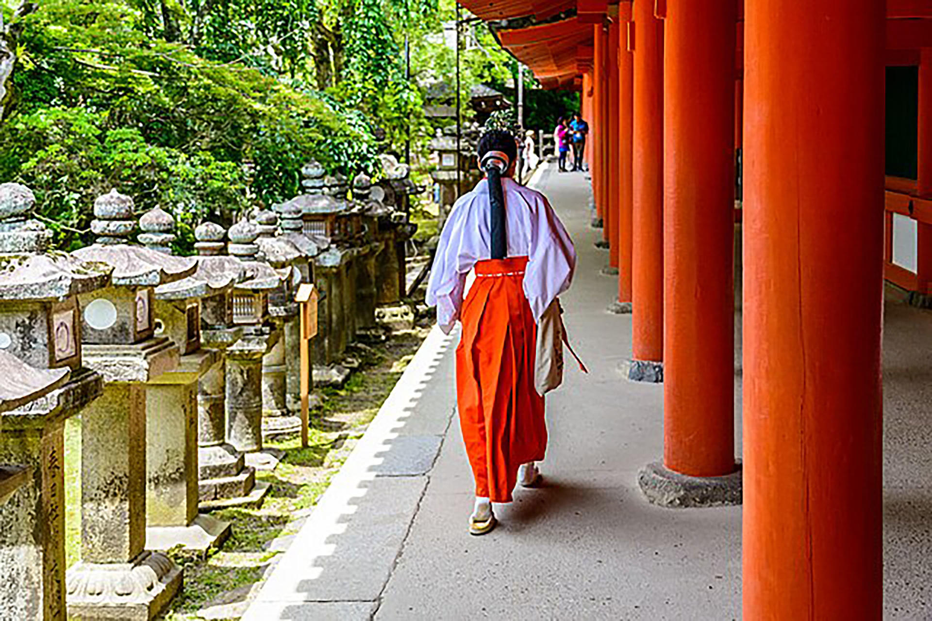 Best of Kyoto & Nara: Kiyomizudera, Nara Park, Todaiji & Much More - Thumbnail 17