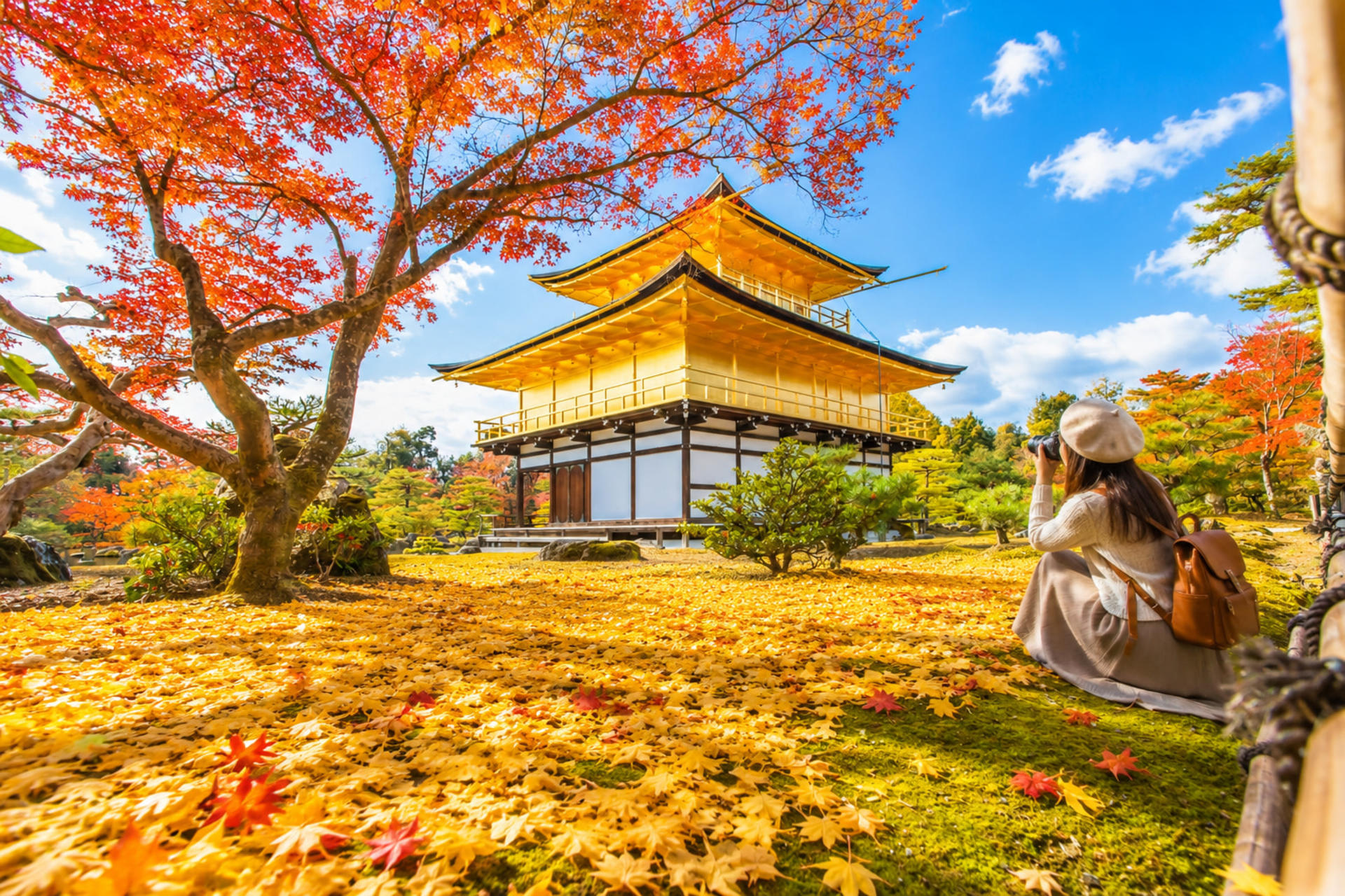 Kyoto and Nara Day Tour(Optional upgrade to Wagyu “Kobe Beef” lunch) - Thumbnail 2