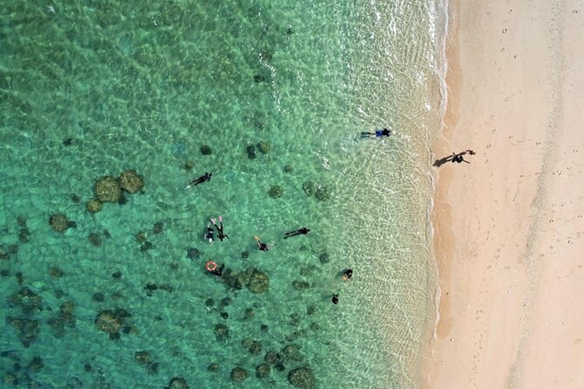 Frankland Islands Reef Cruises - Thumbnail 5