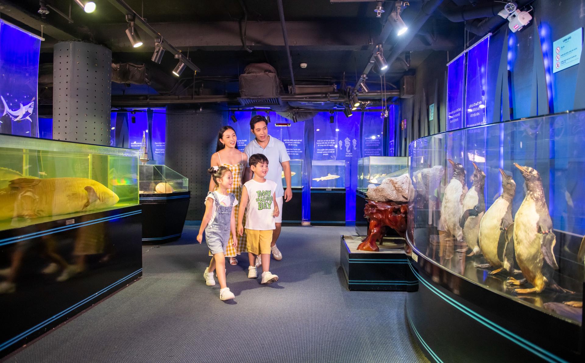 VinKE & Vinpearl Aquarium Ticket in Ha Noi - Thumbnail 13