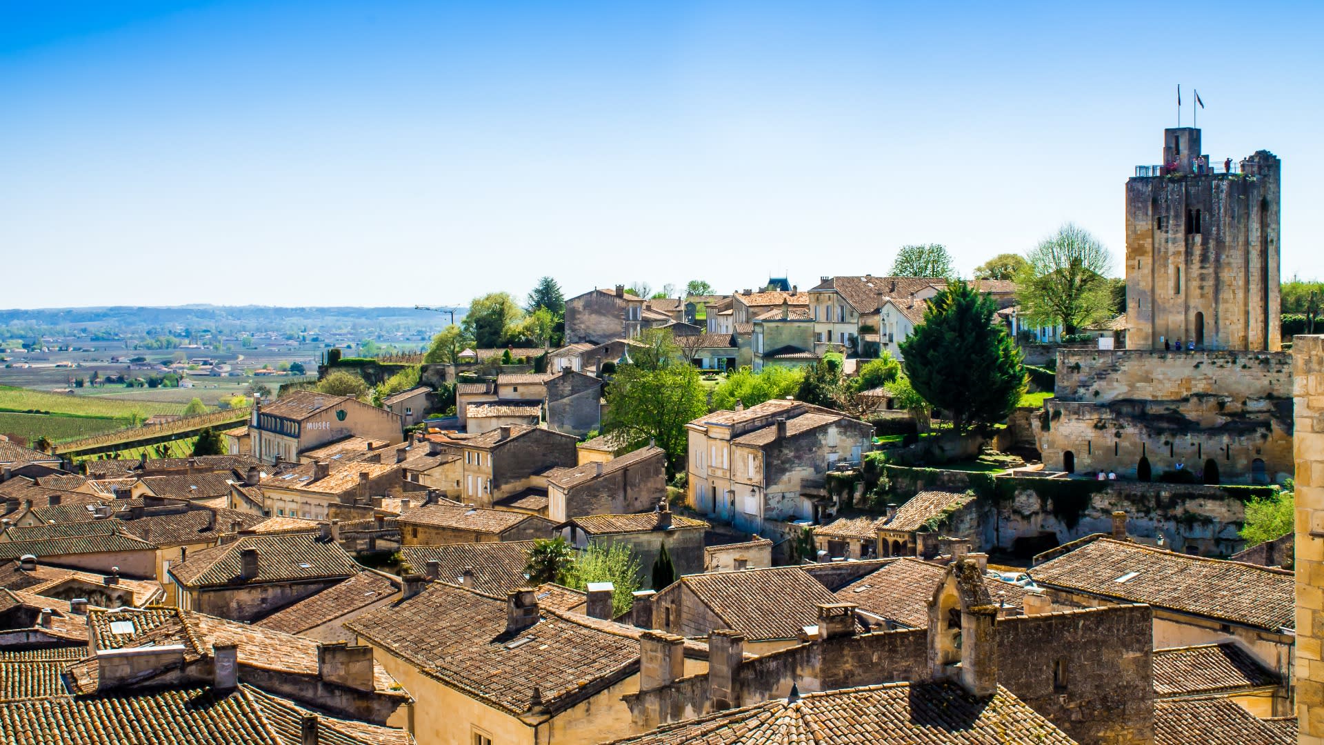Saint-Emilion Wines and Village One Day Tour from Bordeaux - Thumbnail 4